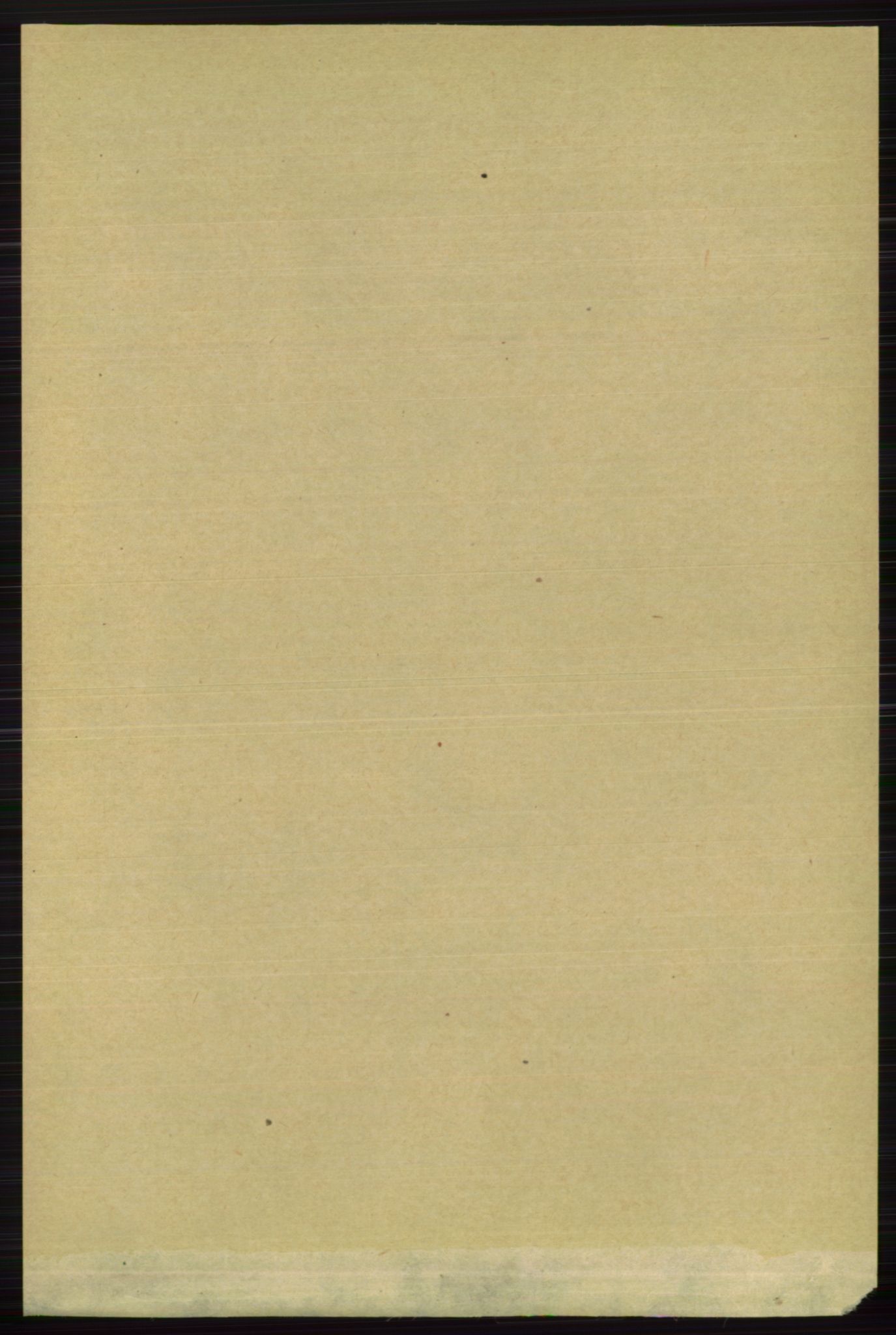 RA, 1891 census for 0798 Fredriksvern, 1891, p. 454