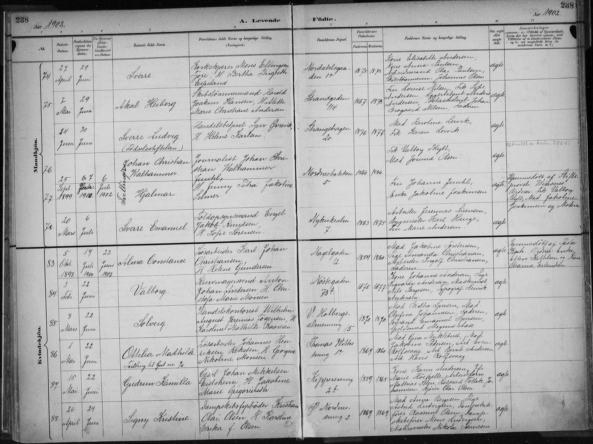 Nykirken Sokneprestembete, SAB/A-77101/H/Haa/L0018: Parish register (official) no. B 6, 1895-1903, p. 238