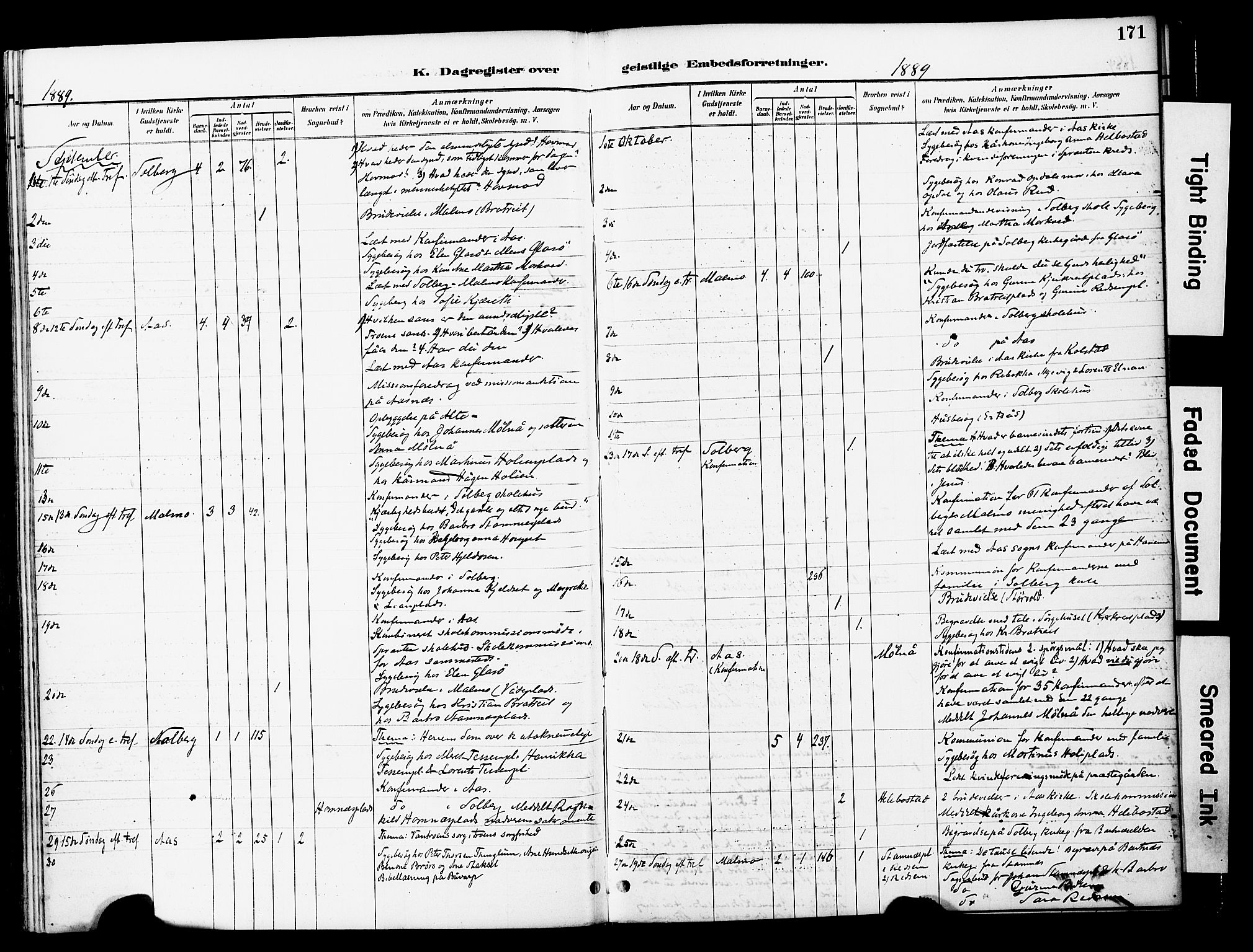 Ministerialprotokoller, klokkerbøker og fødselsregistre - Nord-Trøndelag, AV/SAT-A-1458/741/L0396: Parish register (official) no. 741A10, 1889-1901, p. 171