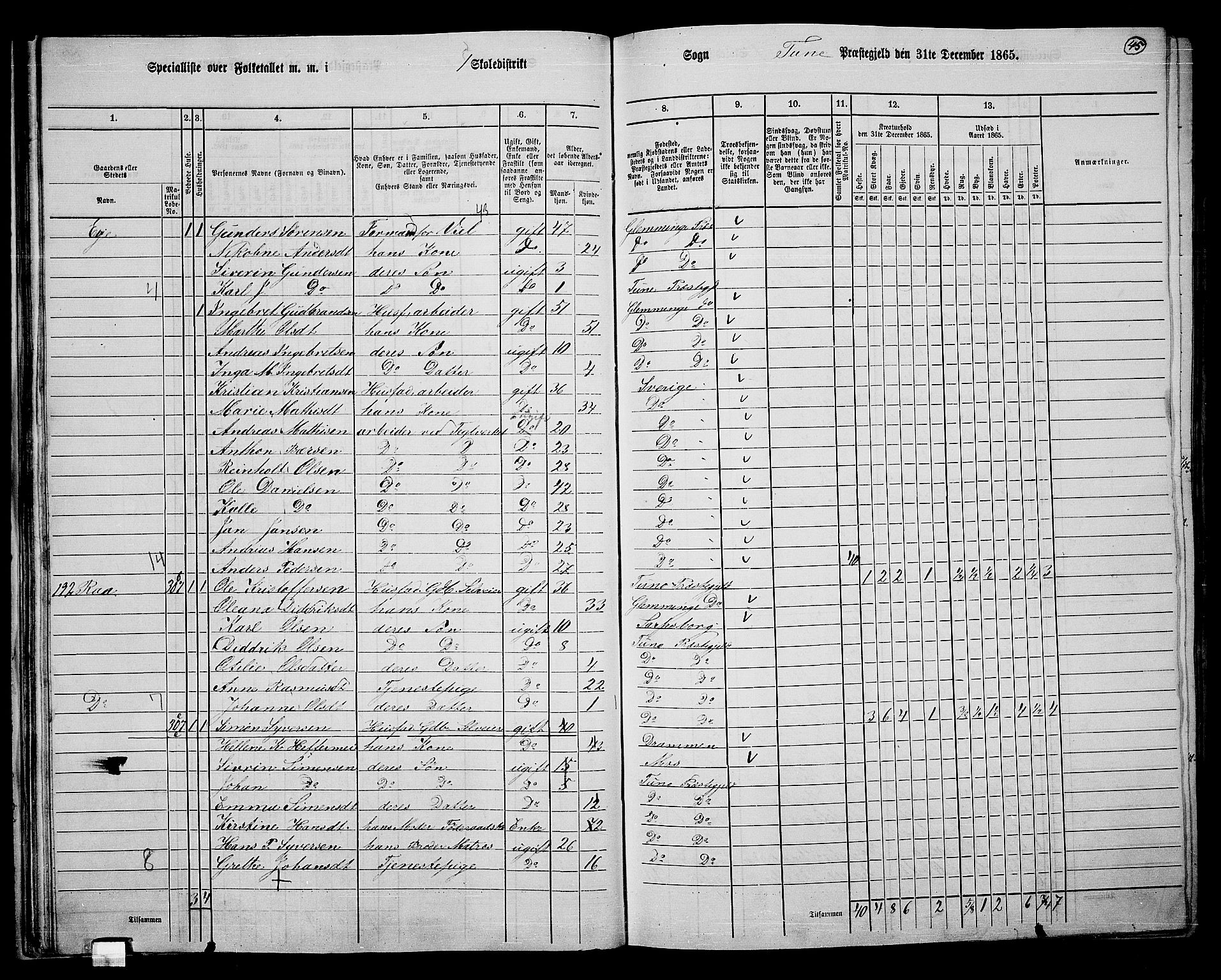 RA, 1865 census for Tune, 1865, p. 42