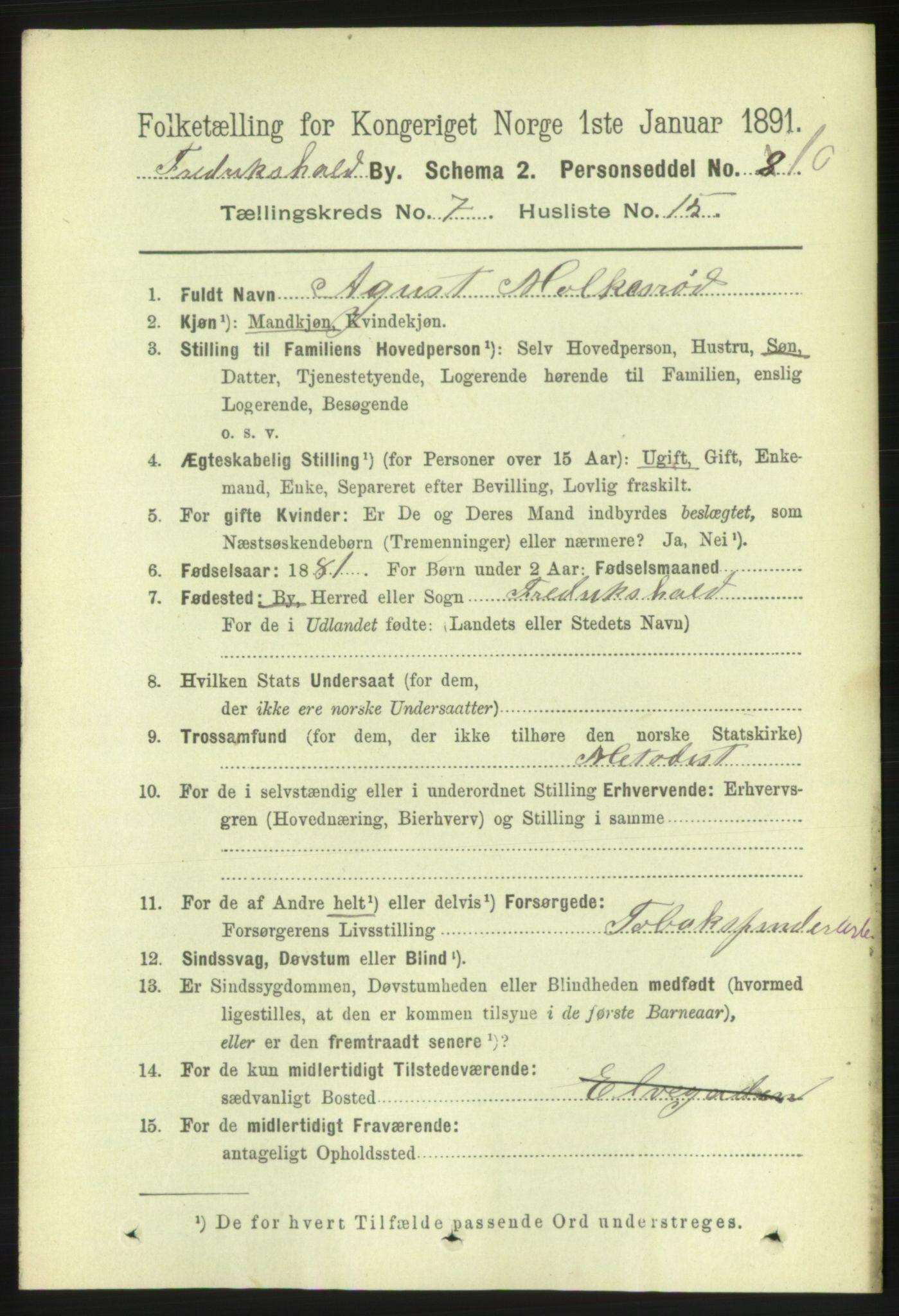 RA, 1891 census for 0101 Fredrikshald, 1891, p. 5226