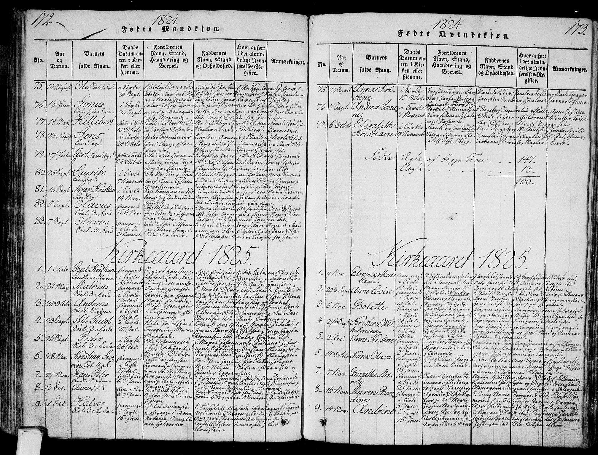 Bragernes kirkebøker, SAKO/A-6/G/Ga/L0001: Parish register (copy) no. 1, 1815-1829, p. 172-173