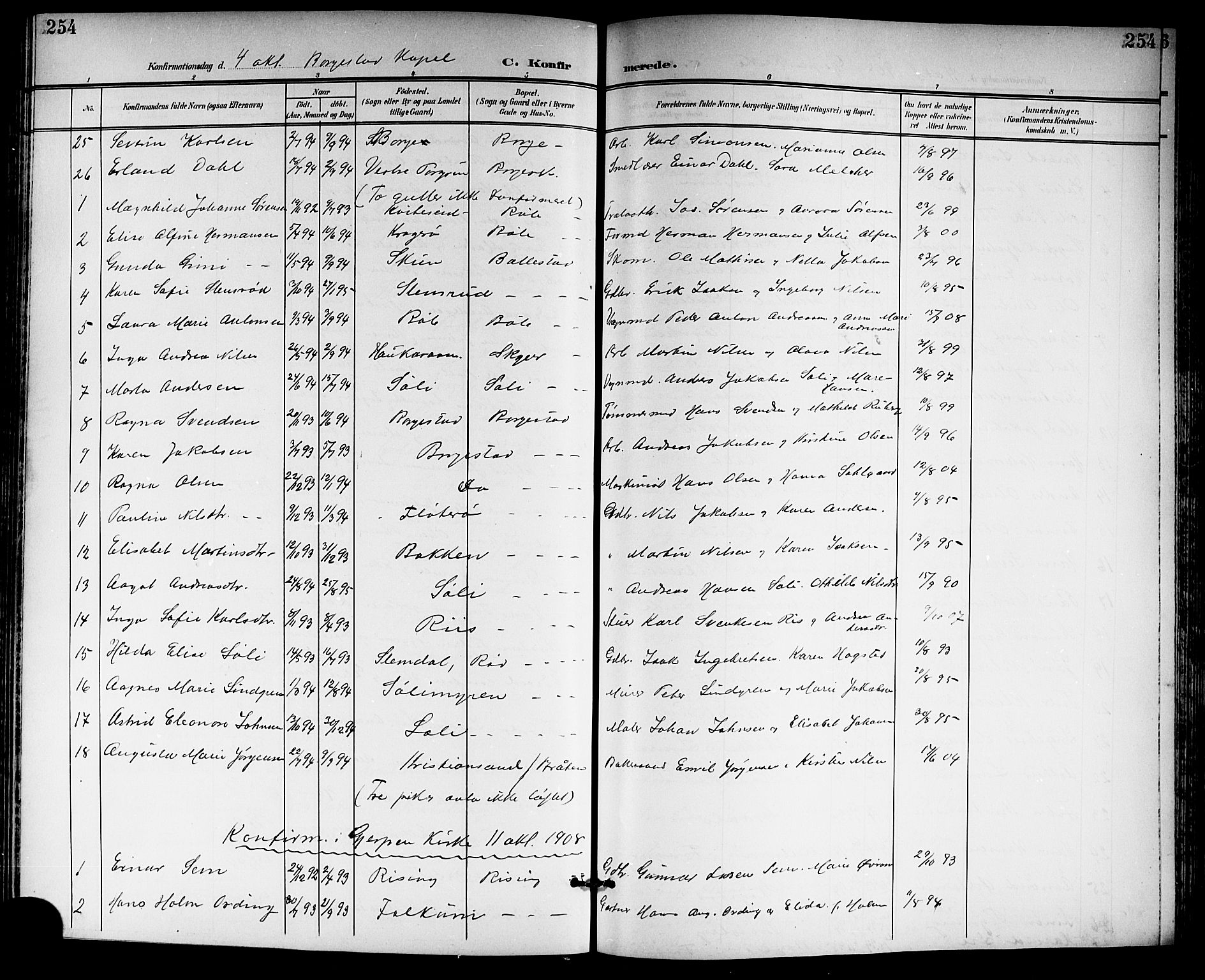 Gjerpen kirkebøker, AV/SAKO-A-265/G/Ga/L0003: Parish register (copy) no. I 3, 1901-1919, p. 254