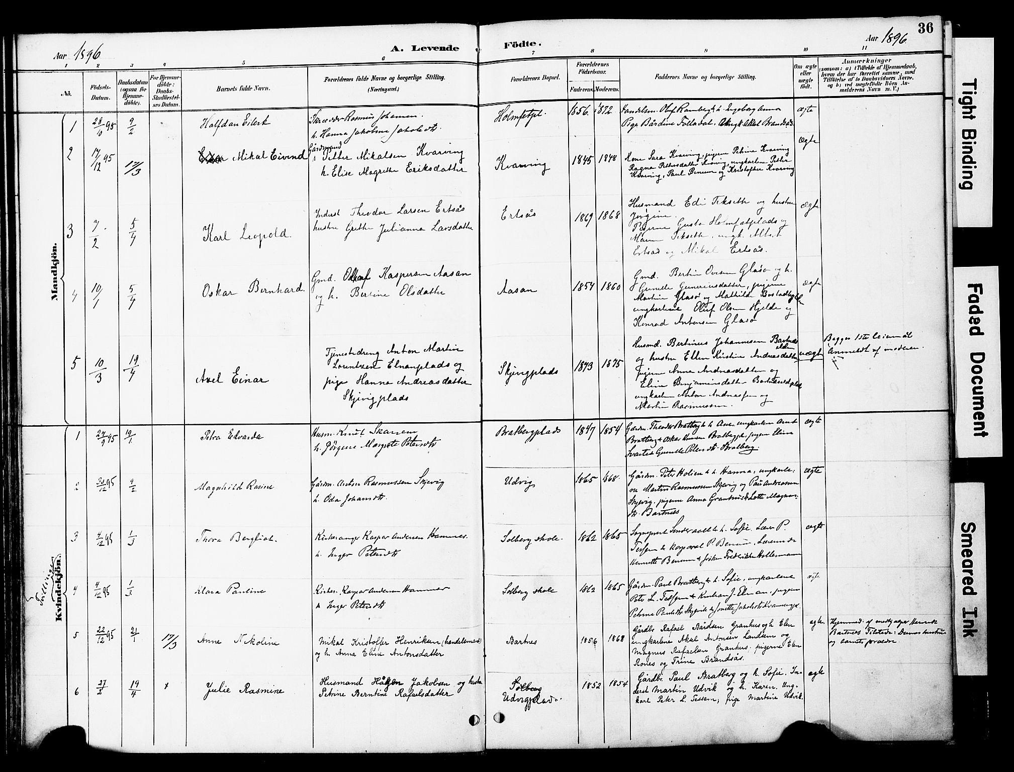 Ministerialprotokoller, klokkerbøker og fødselsregistre - Nord-Trøndelag, SAT/A-1458/741/L0396: Parish register (official) no. 741A10, 1889-1901, p. 36