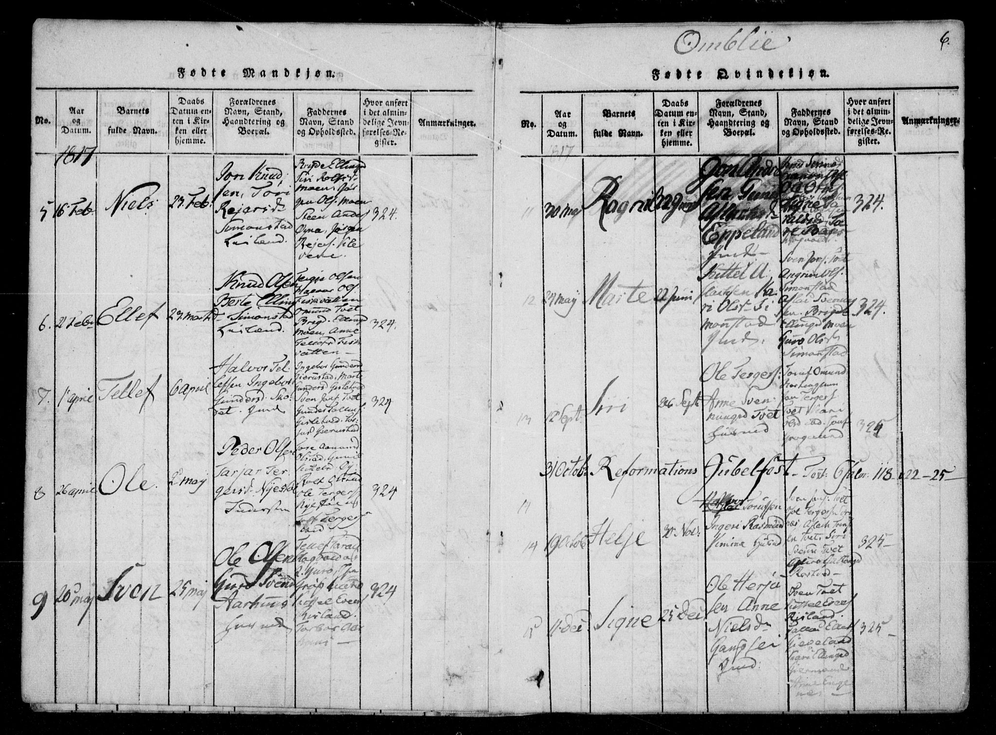 Åmli sokneprestkontor, AV/SAK-1111-0050/F/Fa/Fac/L0006: Parish register (official) no. A 6, 1816-1829, p. 6