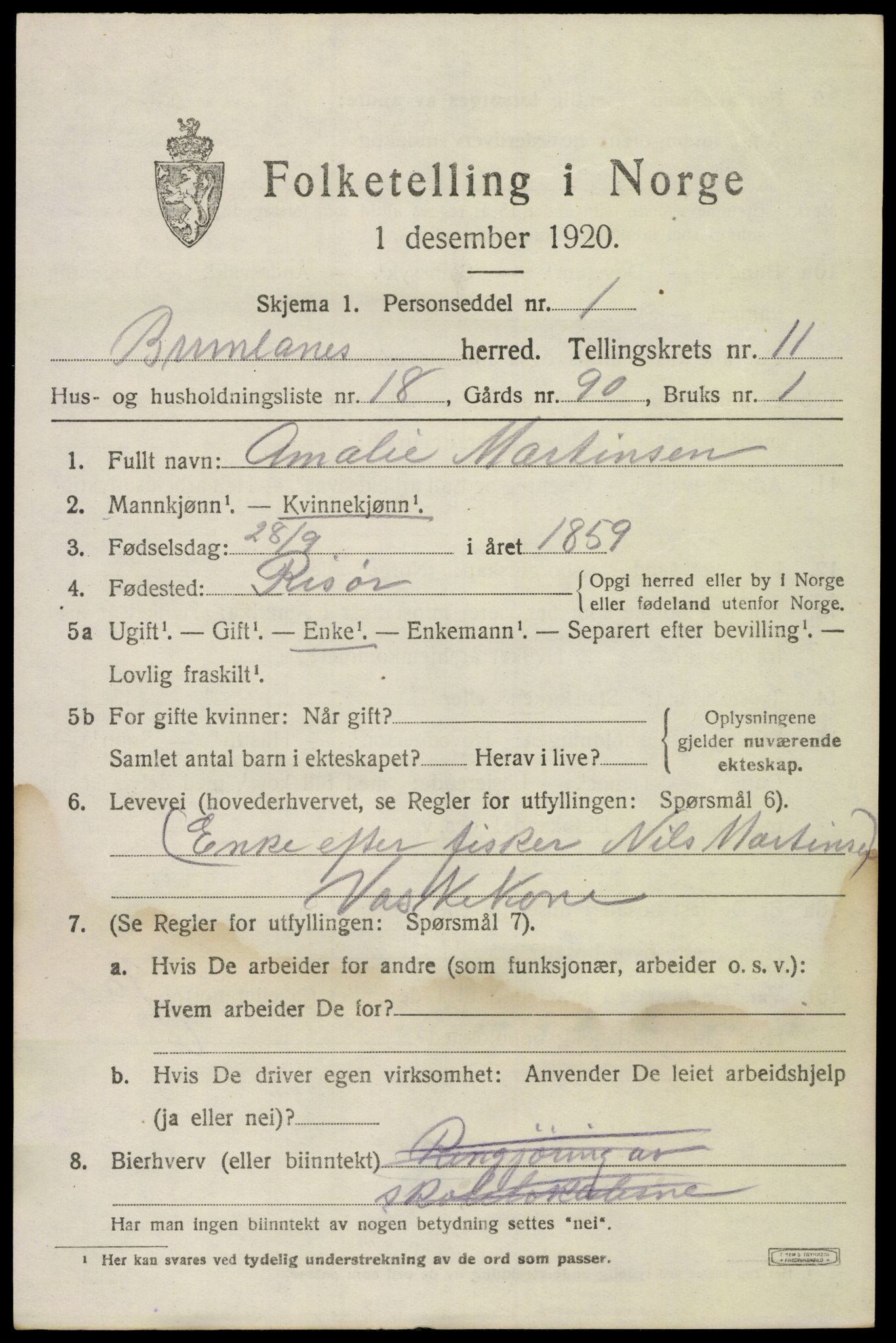 SAKO, 1920 census for Brunlanes, 1920, p. 9733