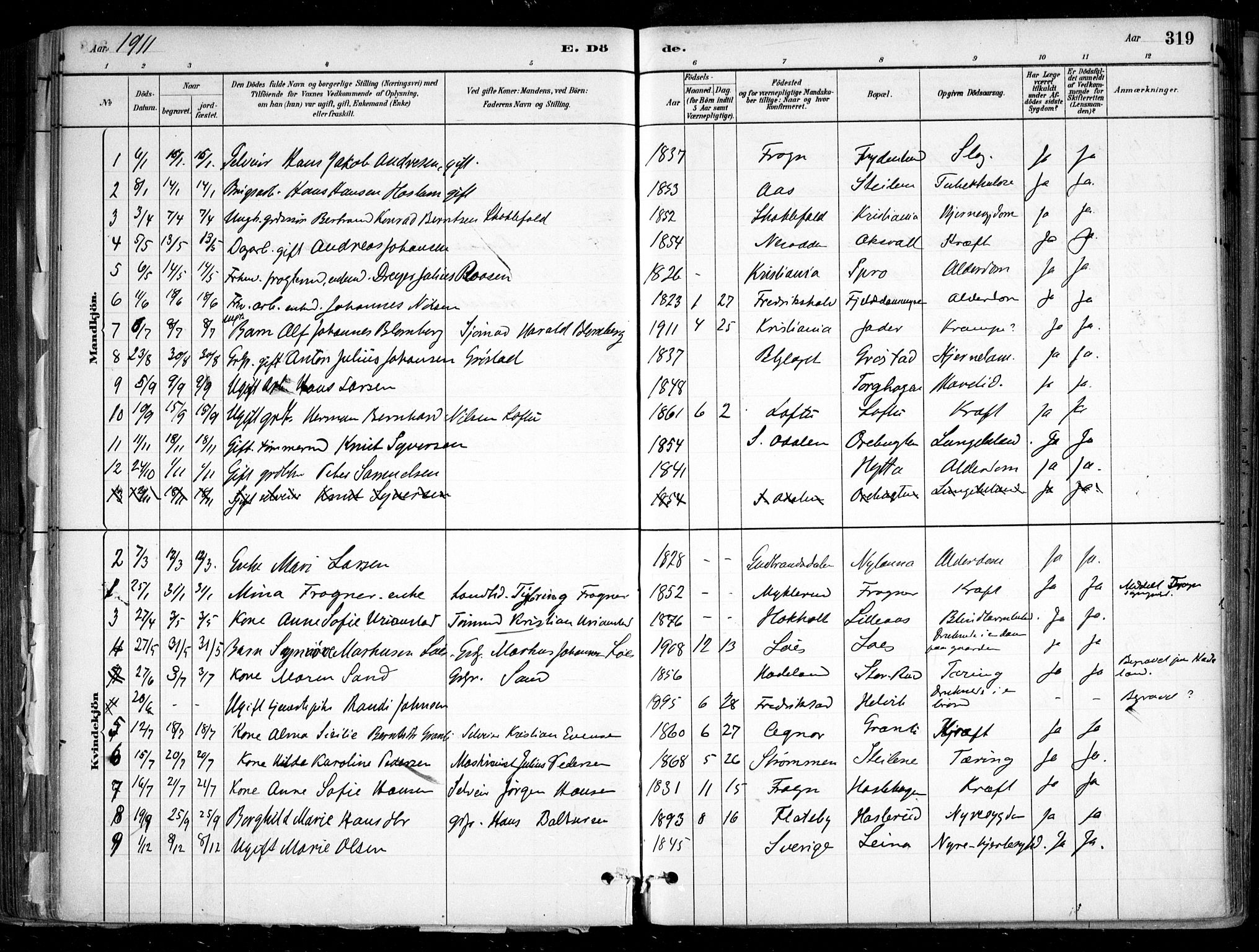 Nesodden prestekontor Kirkebøker, SAO/A-10013/F/Fa/L0009: Parish register (official) no. I 9, 1880-1915, p. 319