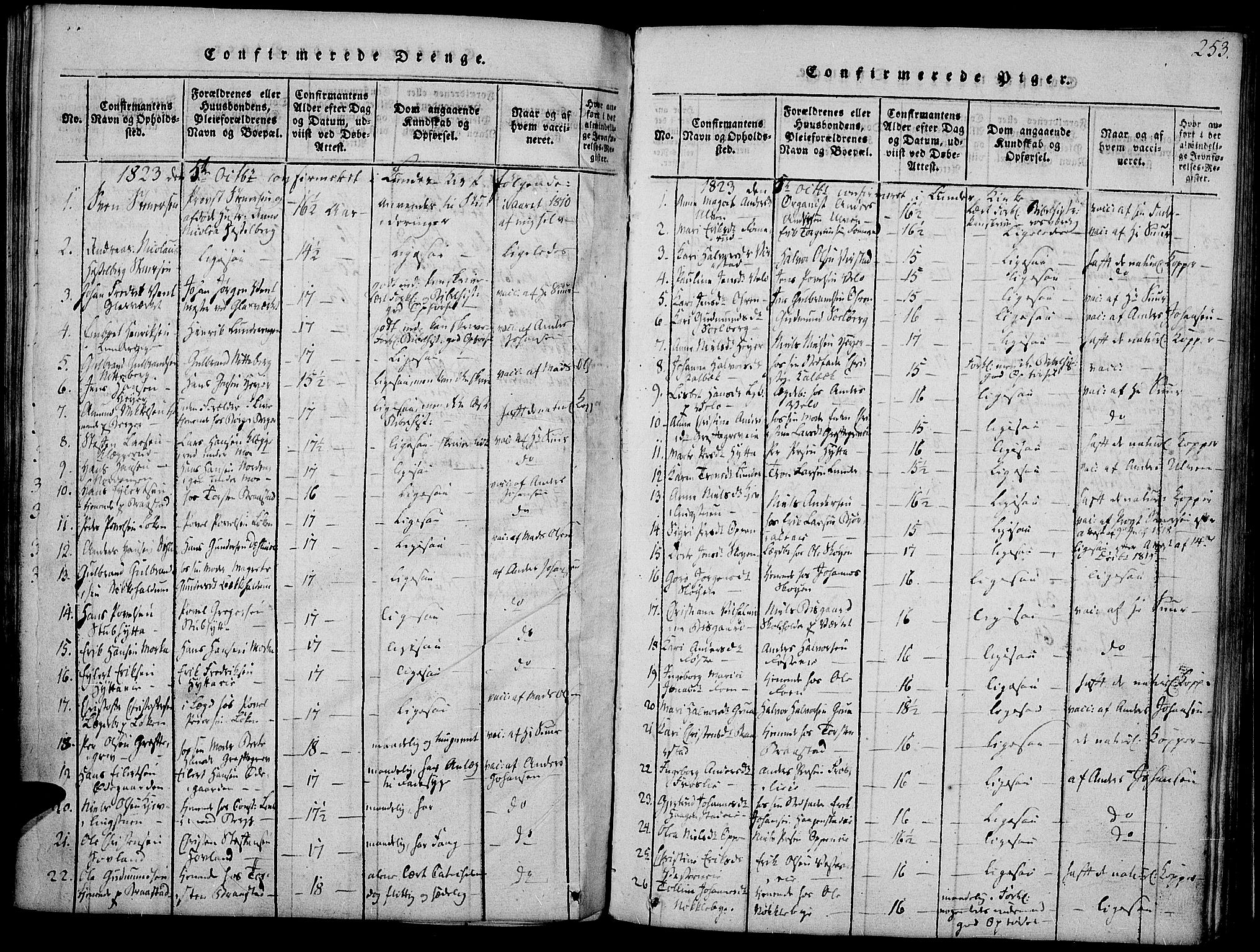 Jevnaker prestekontor, SAH/PREST-116/H/Ha/Haa/L0005: Parish register (official) no. 5, 1815-1837, p. 253