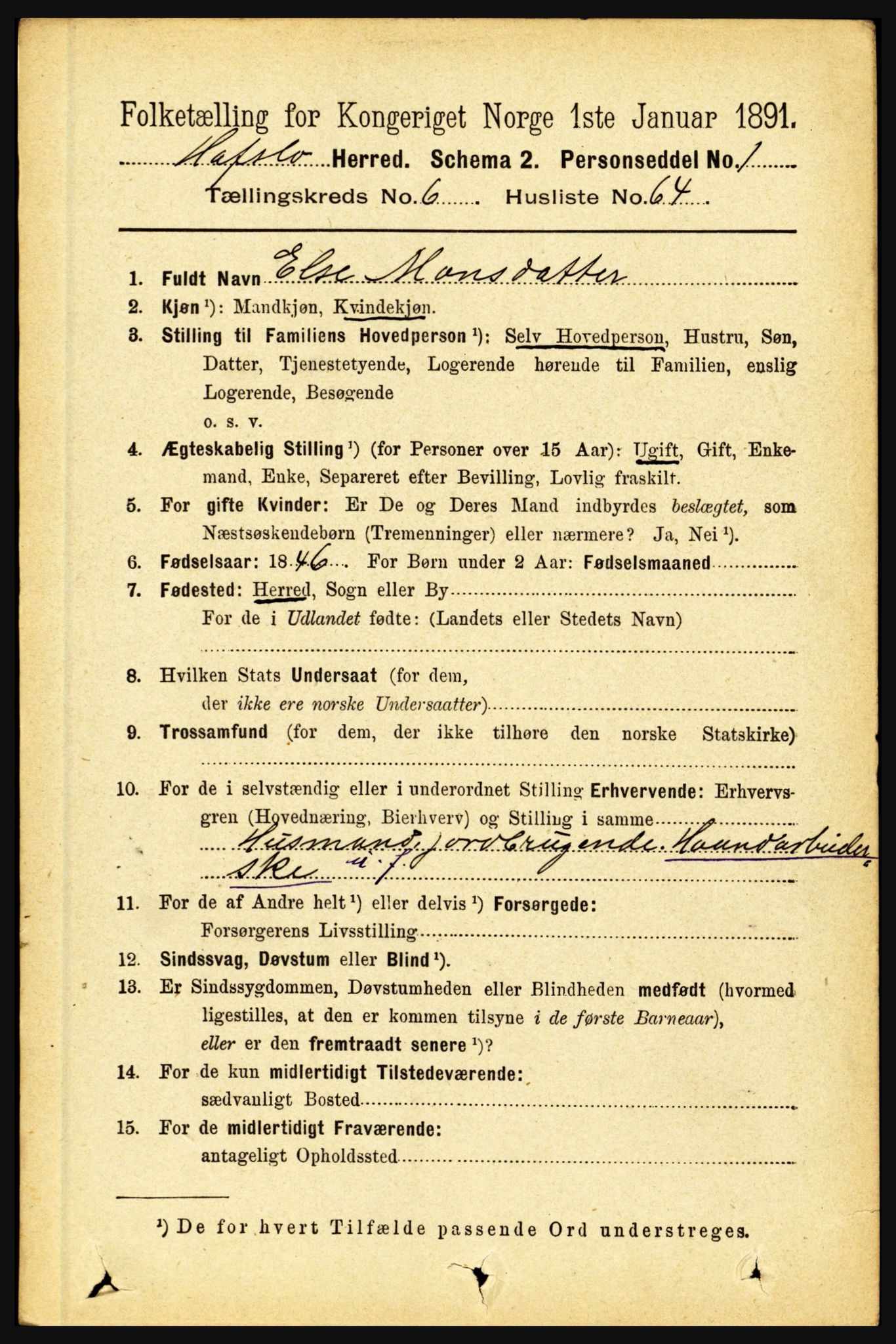 RA, 1891 census for 1425 Hafslo, 1891, p. 2663