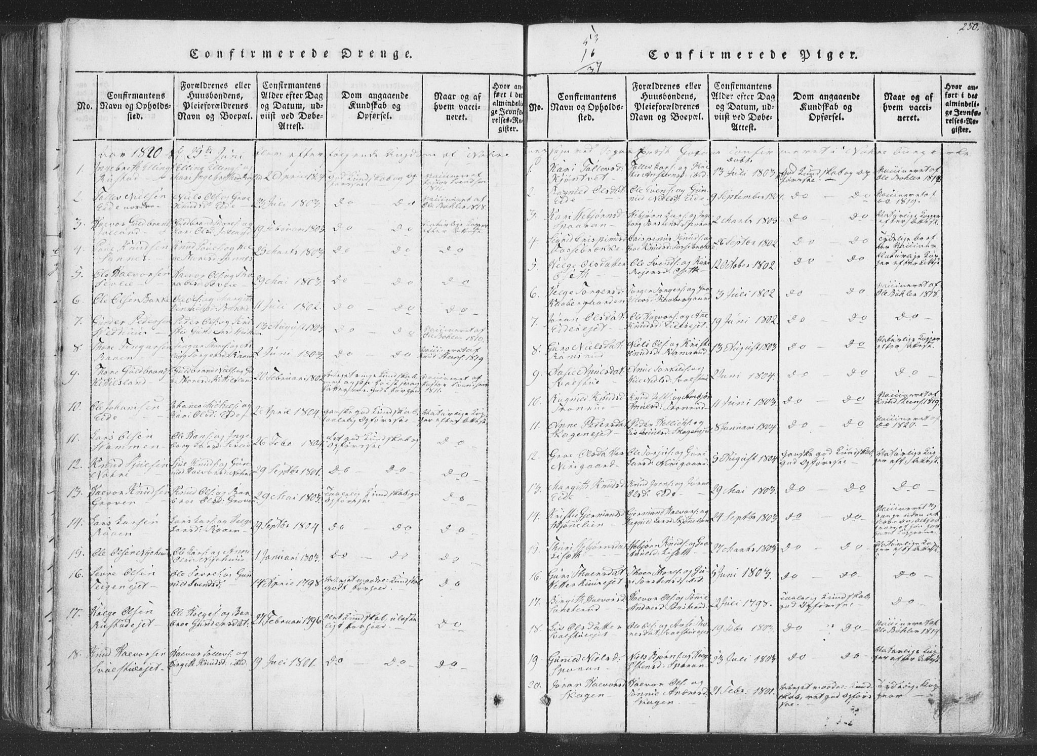 Rollag kirkebøker, AV/SAKO-A-240/F/Fa/L0006: Parish register (official) no. I 6, 1814-1828, p. 250