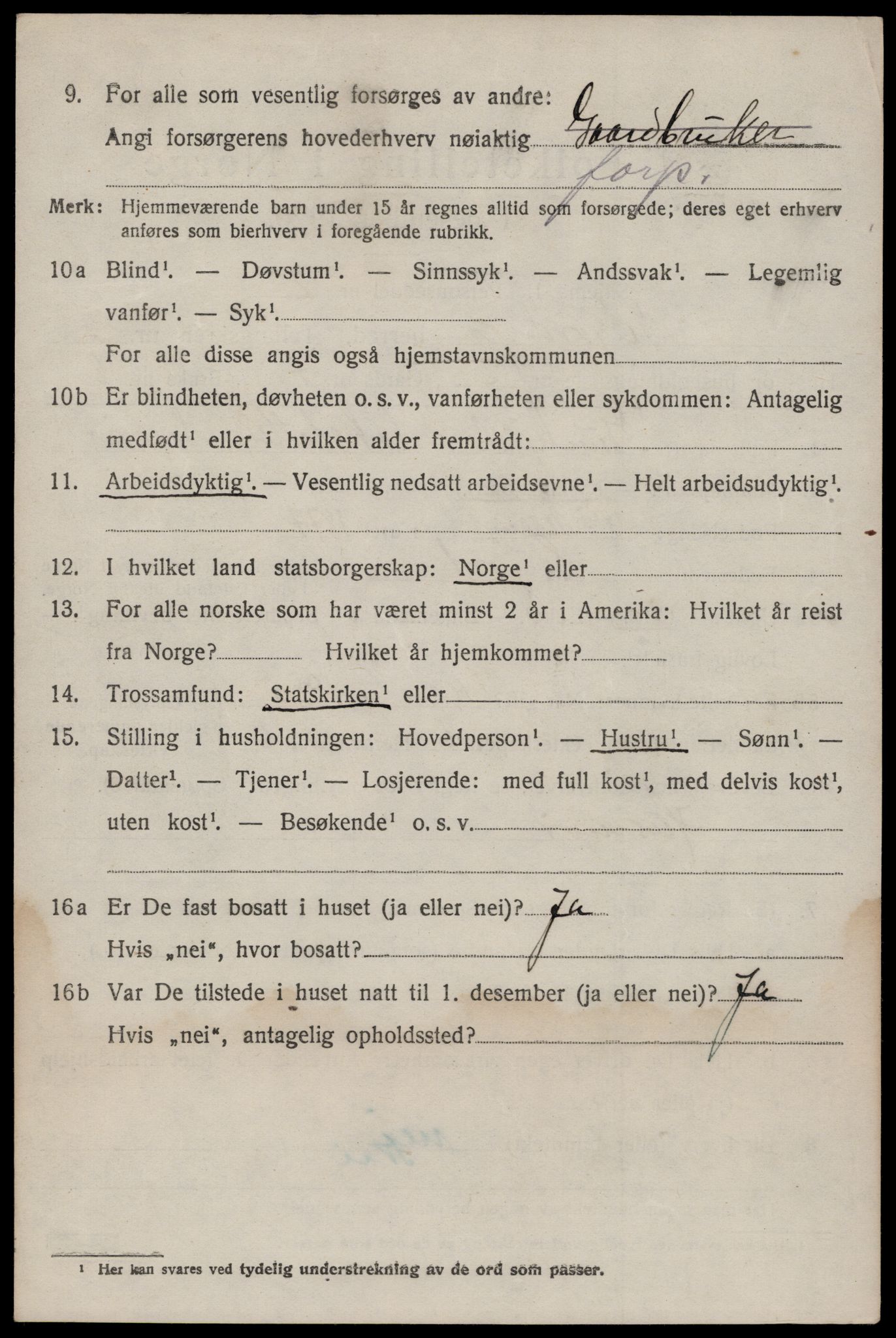 SAKO, 1920 census for Seljord, 1920, p. 1537
