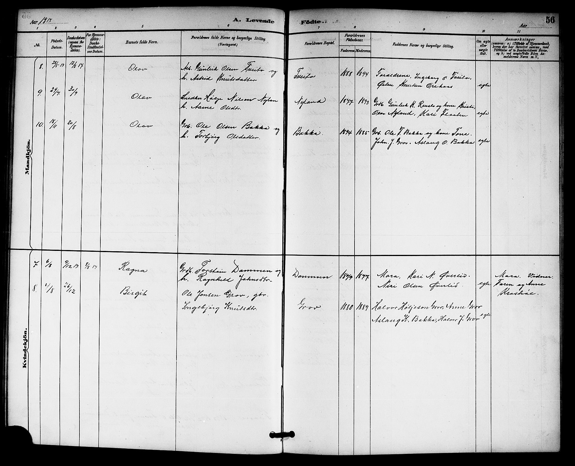 Gransherad kirkebøker, SAKO/A-267/G/Gb/L0003: Parish register (copy) no. II 3, 1887-1921, p. 56