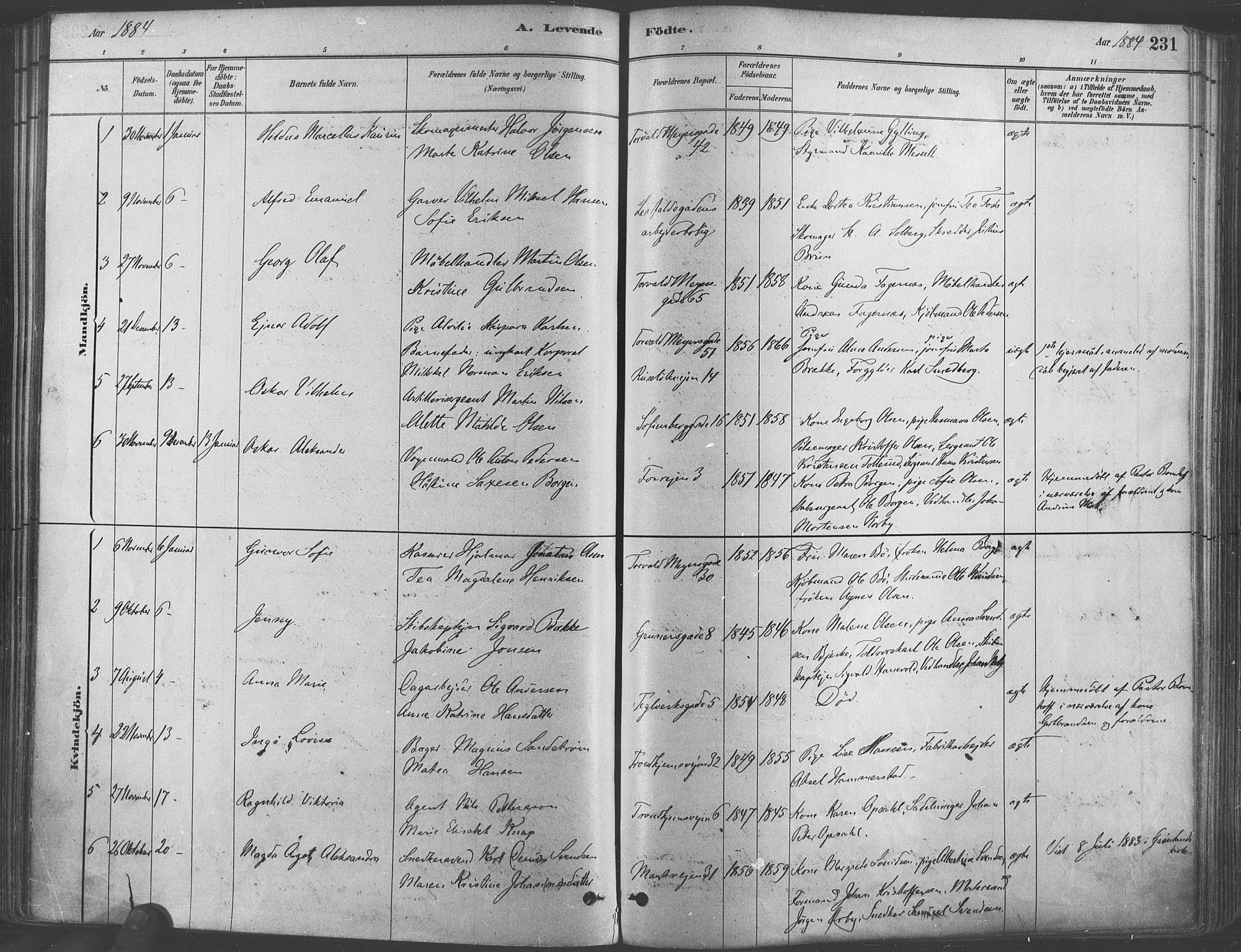 Paulus prestekontor Kirkebøker, AV/SAO-A-10871/F/Fa/L0003: Parish register (official) no. 3, 1879-1887, p. 231