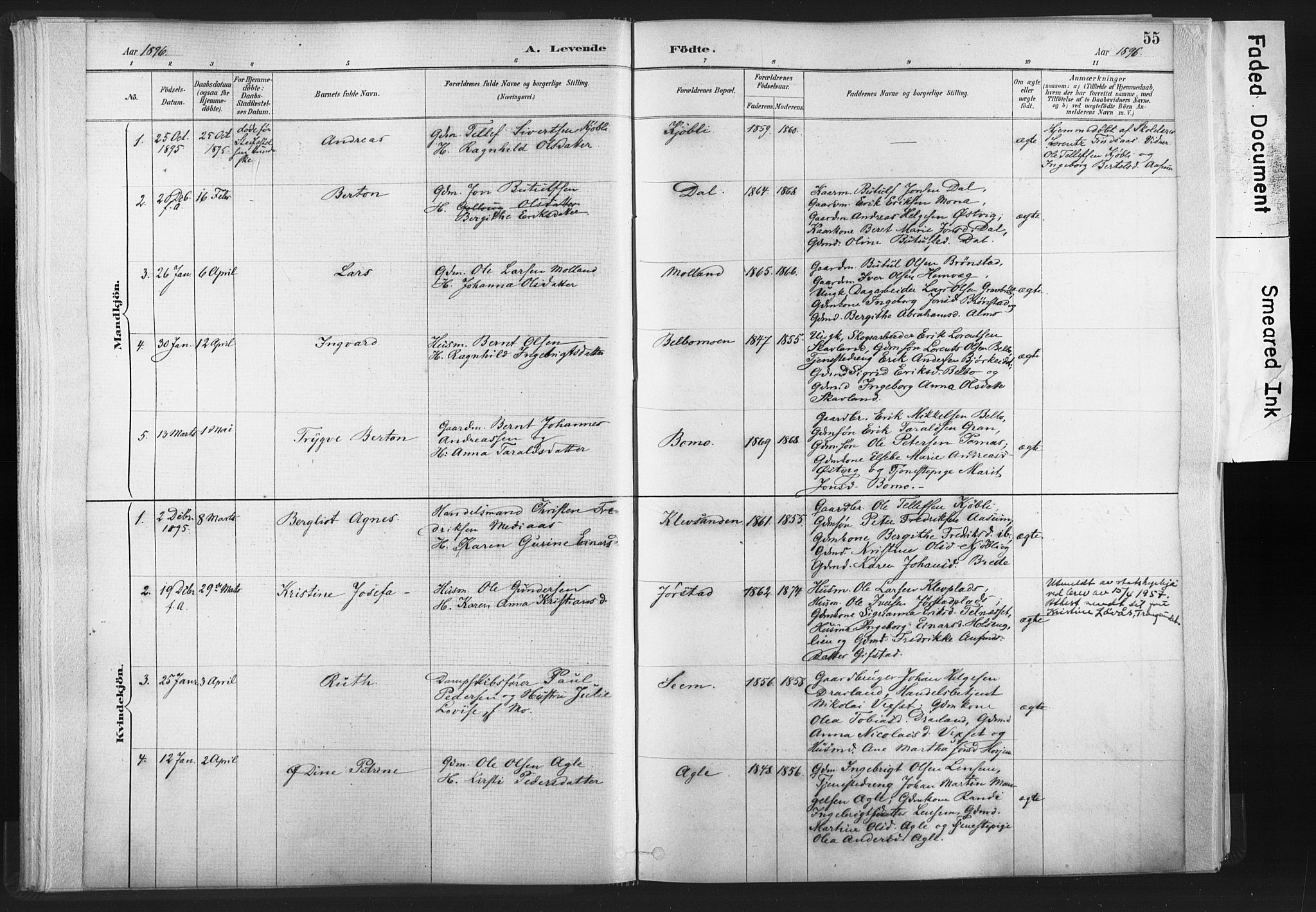 Ministerialprotokoller, klokkerbøker og fødselsregistre - Nord-Trøndelag, SAT/A-1458/749/L0474: Parish register (official) no. 749A08, 1887-1903, p. 55