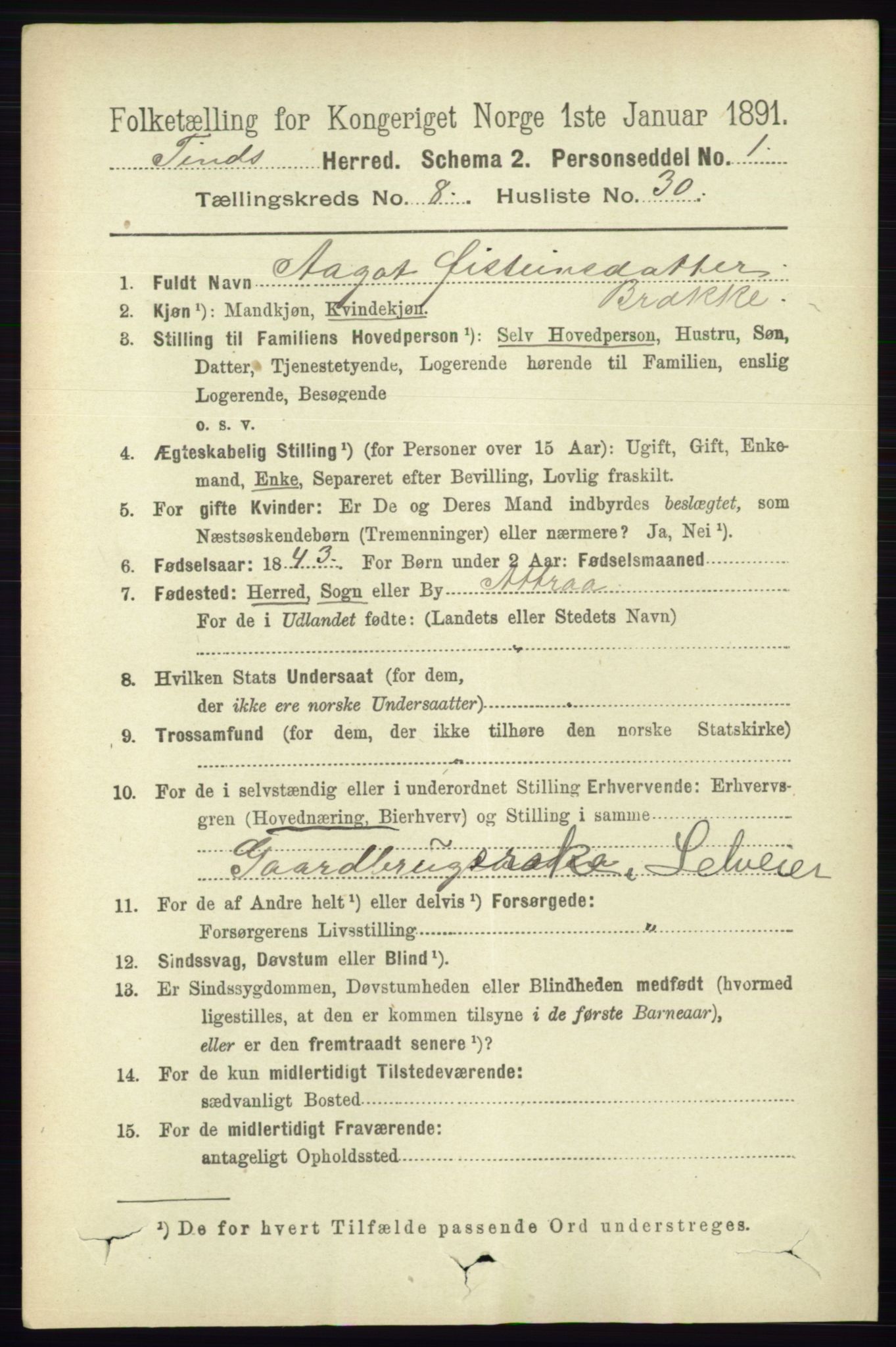 RA, 1891 census for 0826 Tinn, 1891, p. 1790