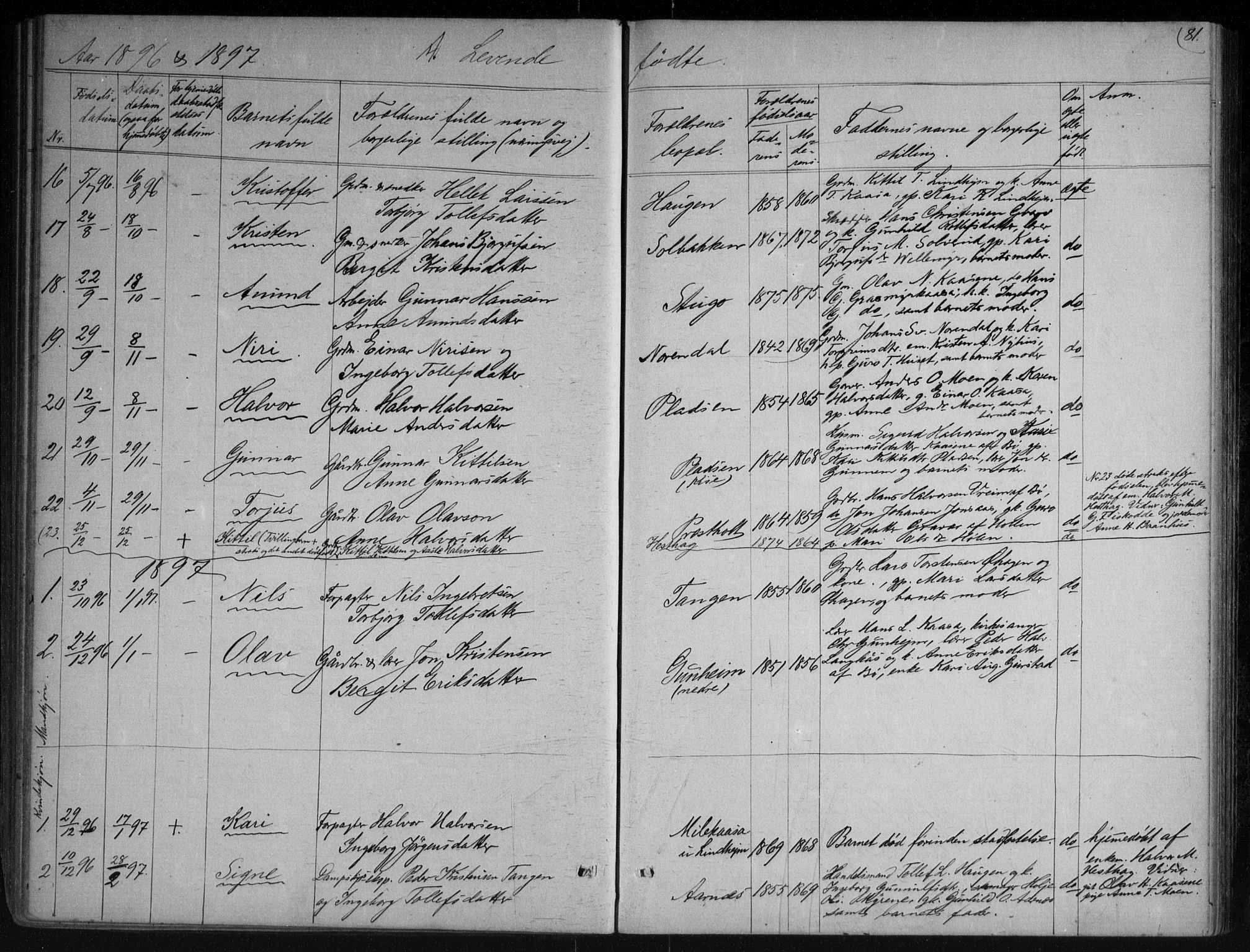 Sauherad kirkebøker, AV/SAKO-A-298/G/Gb/L0002: Parish register (copy) no. II 2, 1866-1897, p. 81