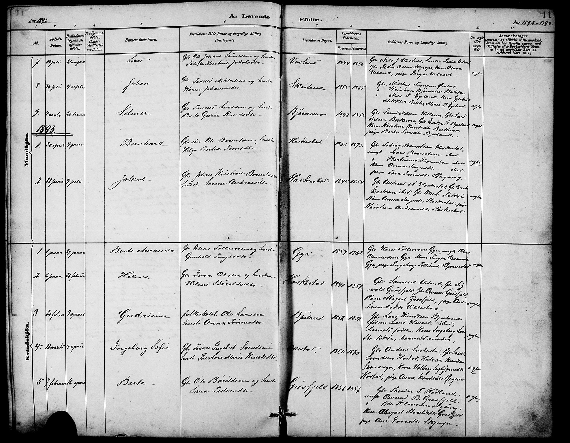 Lund sokneprestkontor, AV/SAST-A-101809/S07/L0007: Parish register (copy) no. B 7, 1890-1925, p. 11