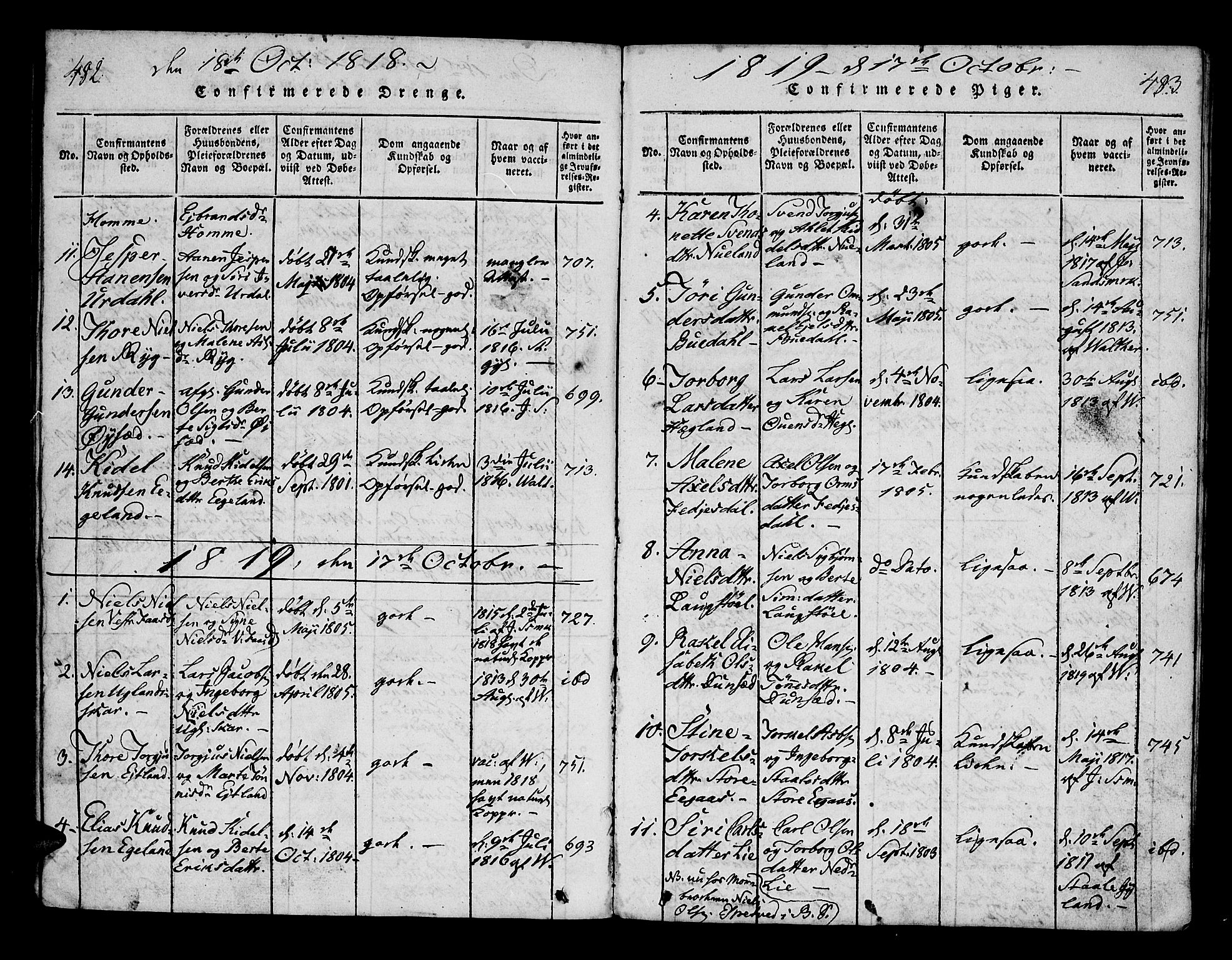 Bakke sokneprestkontor, AV/SAK-1111-0002/F/Fa/Fab/L0001: Parish register (official) no. A 1, 1815-1835, p. 482-483