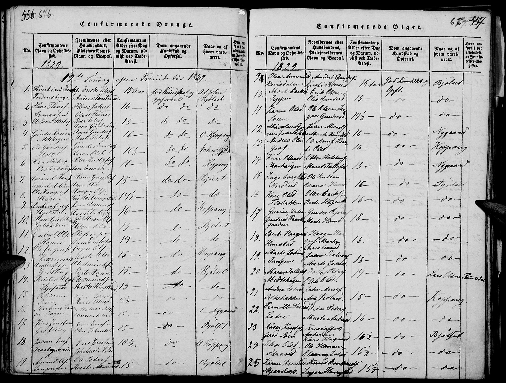 Elverum prestekontor, AV/SAH-PREST-044/H/Ha/Haa/L0007: Parish register (official) no. 7, 1815-1830, p. 676-677