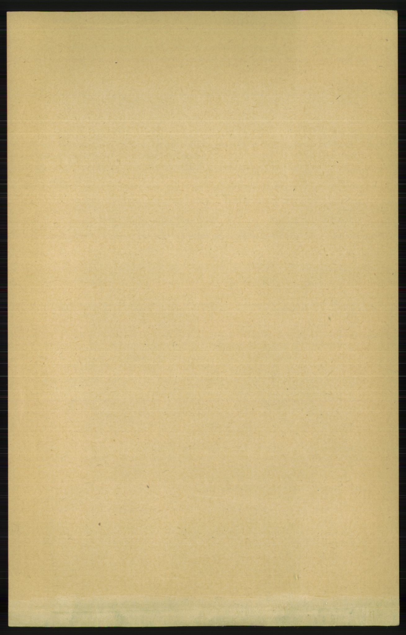 RA, 1891 census for 1147 Avaldsnes, 1891, p. 4958