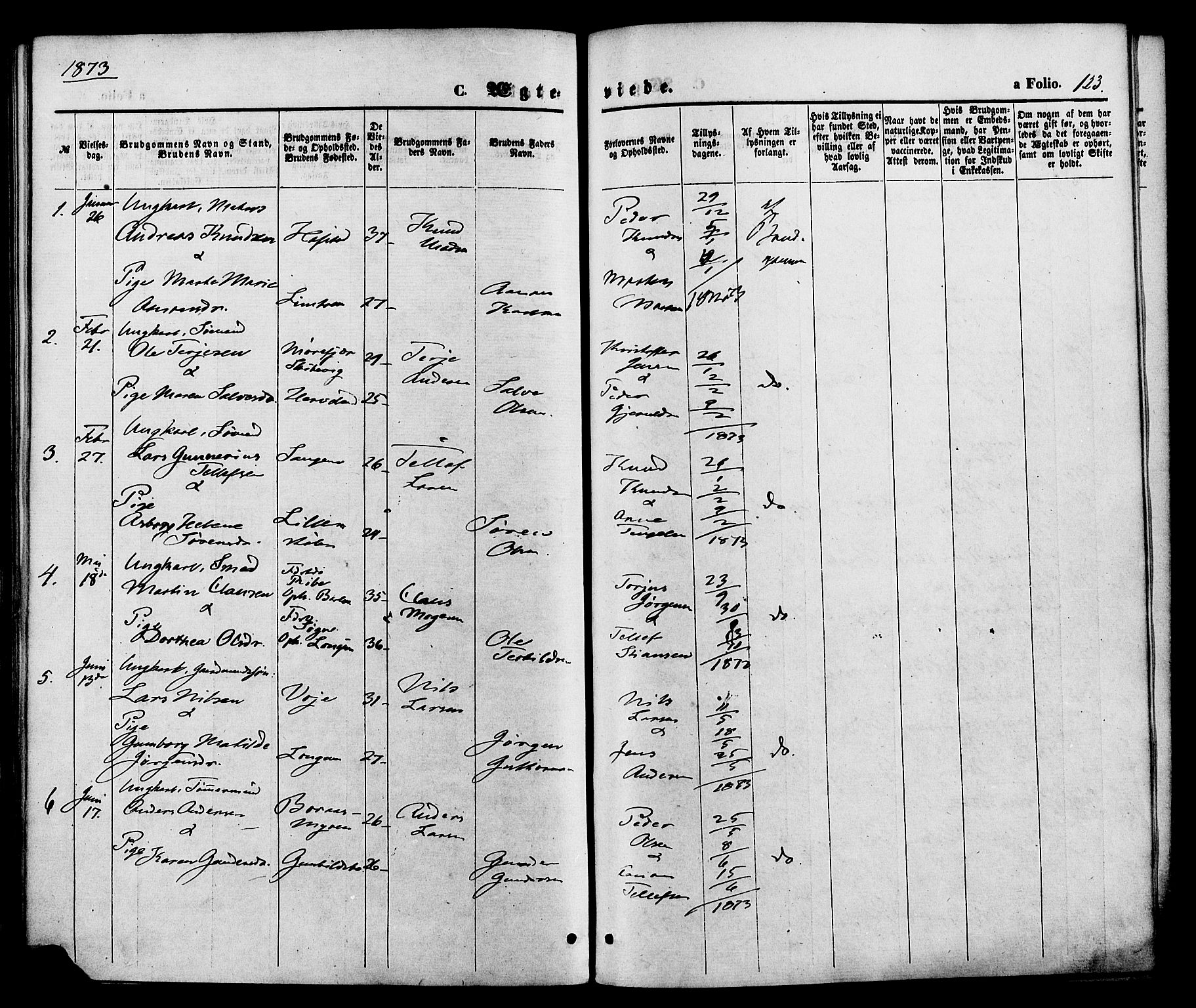 Austre Moland sokneprestkontor, AV/SAK-1111-0001/F/Fa/Faa/L0009: Parish register (official) no. A 9, 1869-1879, p. 123