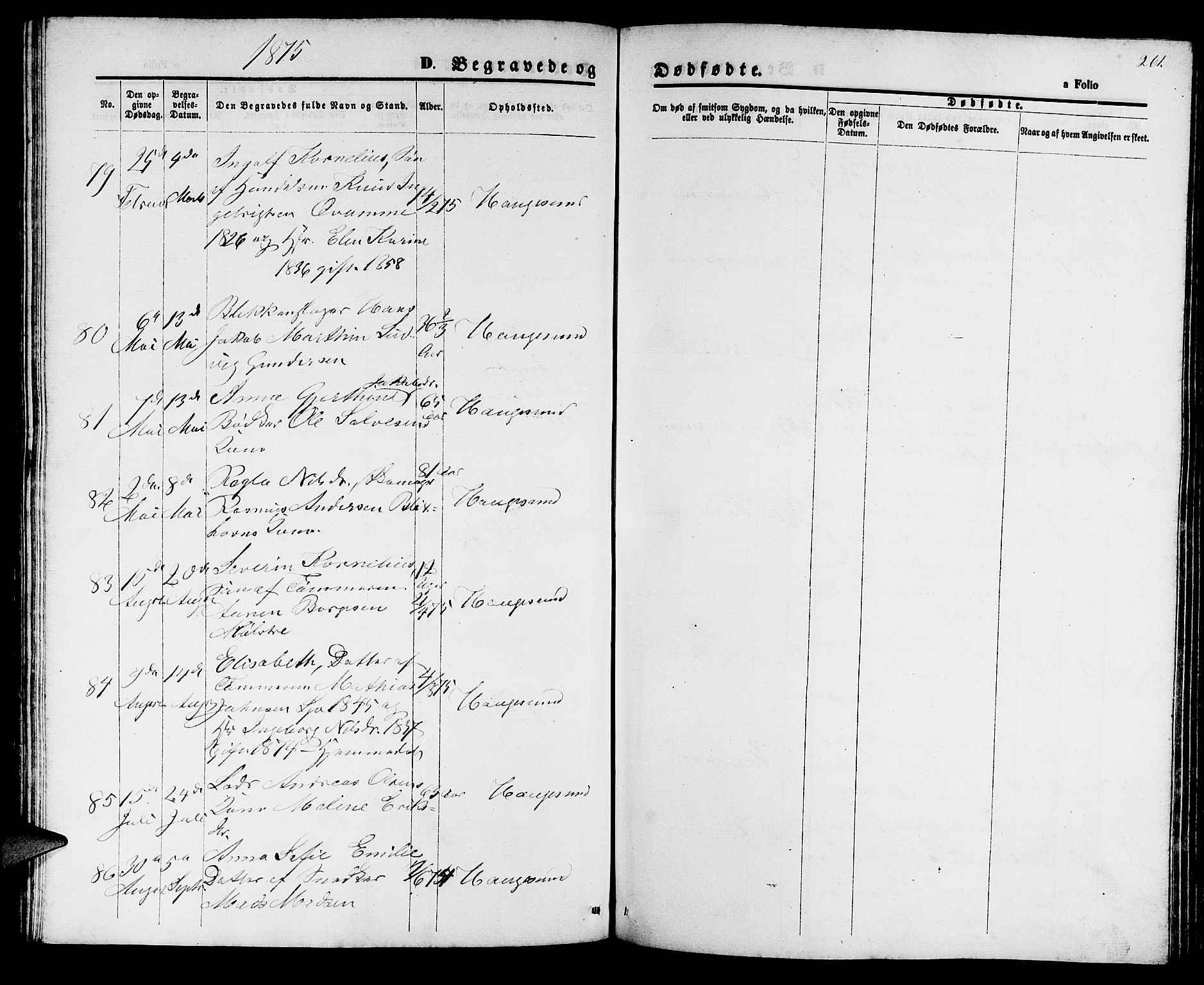 Haugesund sokneprestkontor, AV/SAST-A -101863/H/Ha/Hab/L0001: Parish register (copy) no. B 1, 1873-1881, p. 261