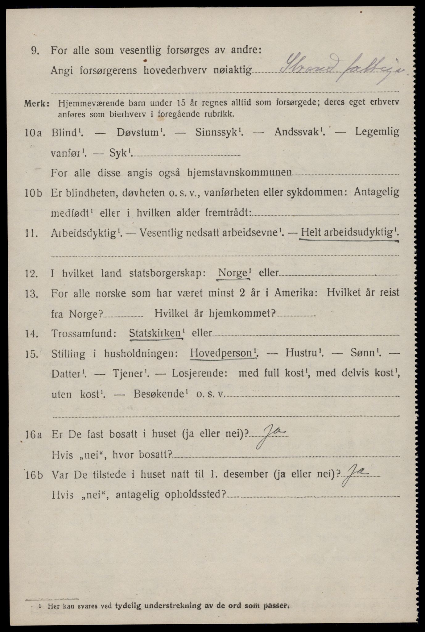 SAST, 1920 census for Strand, 1920, p. 3991