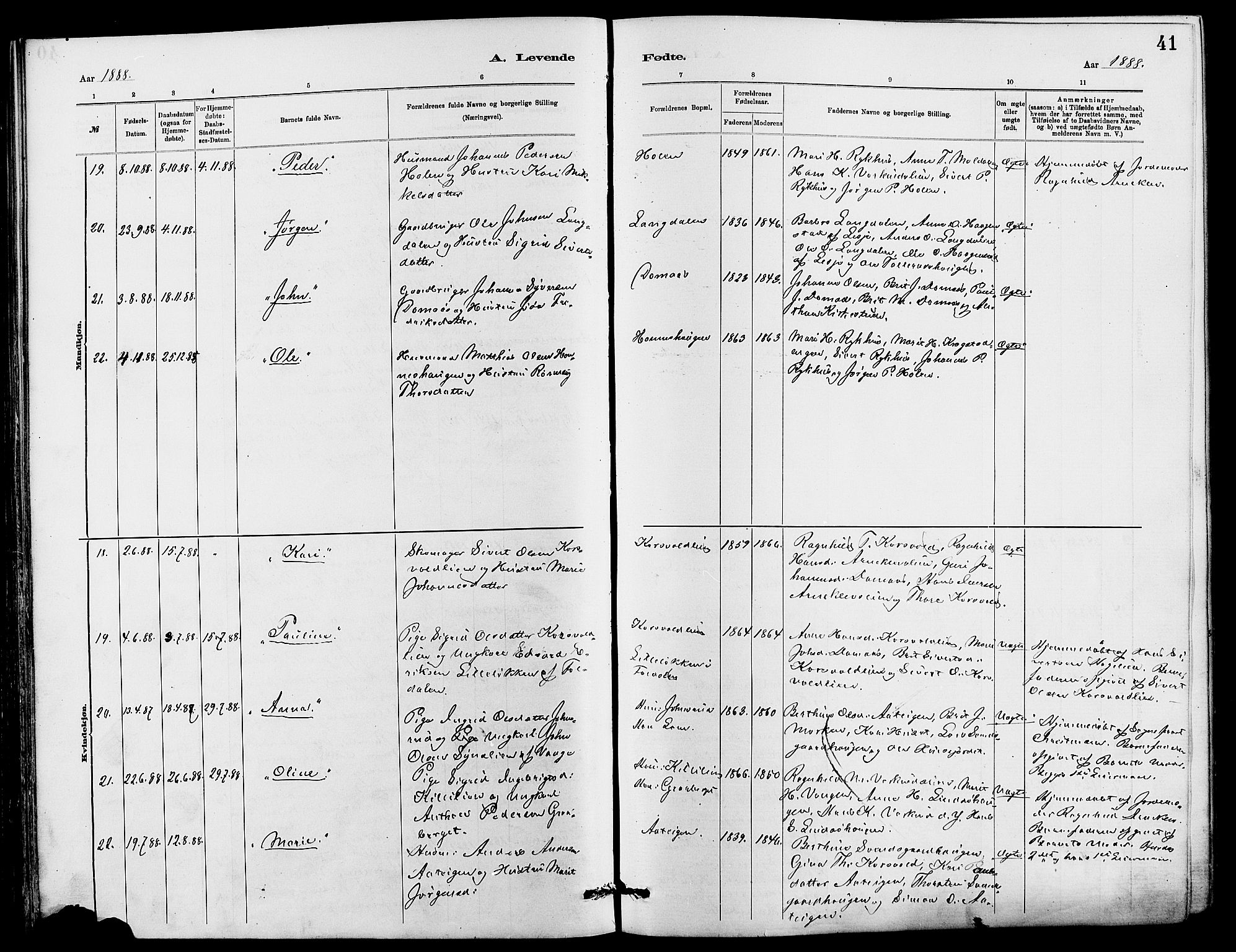 Dovre prestekontor, SAH/PREST-066/H/Ha/Hab/L0002: Parish register (copy) no. 2, 1881-1907, p. 41