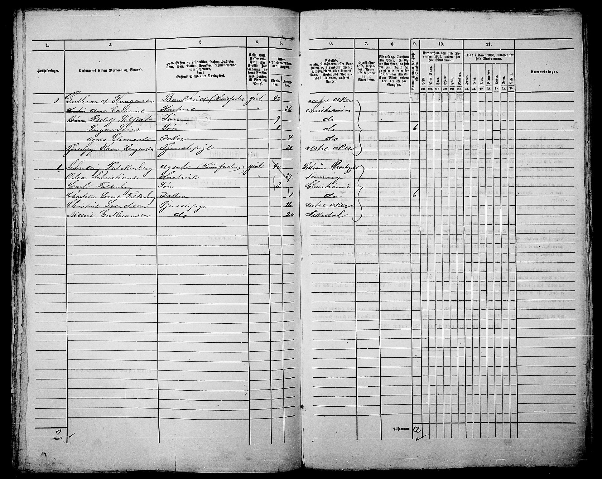 RA, 1865 census for Kristiania, 1865, p. 542