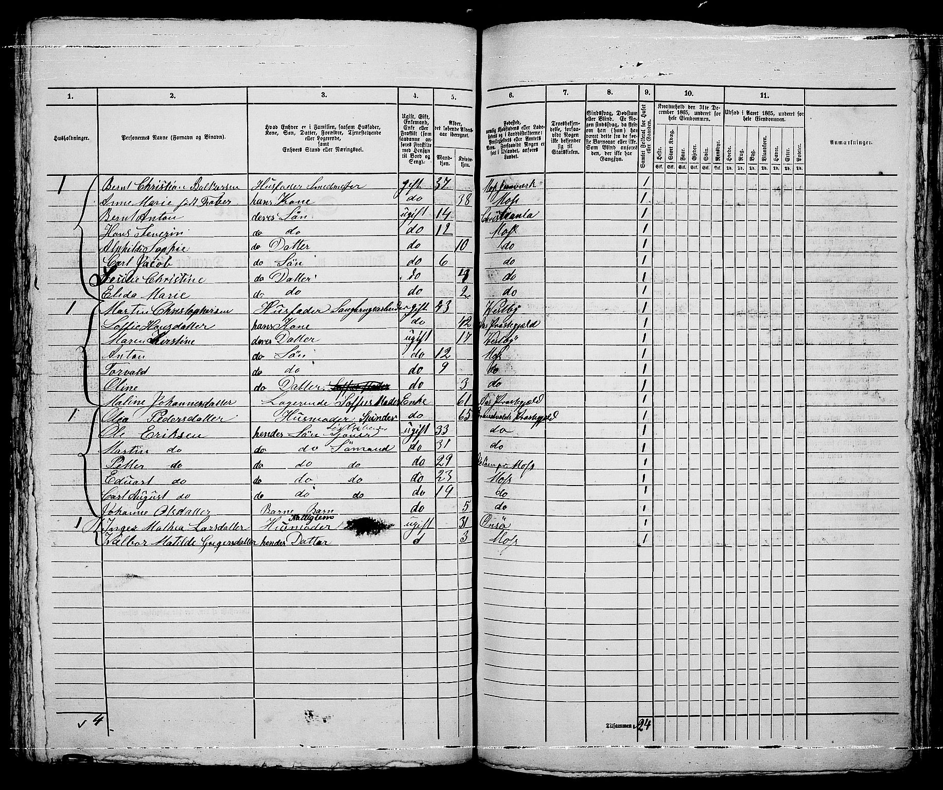 RA, 1865 census for Moss/Moss, 1865, p. 627