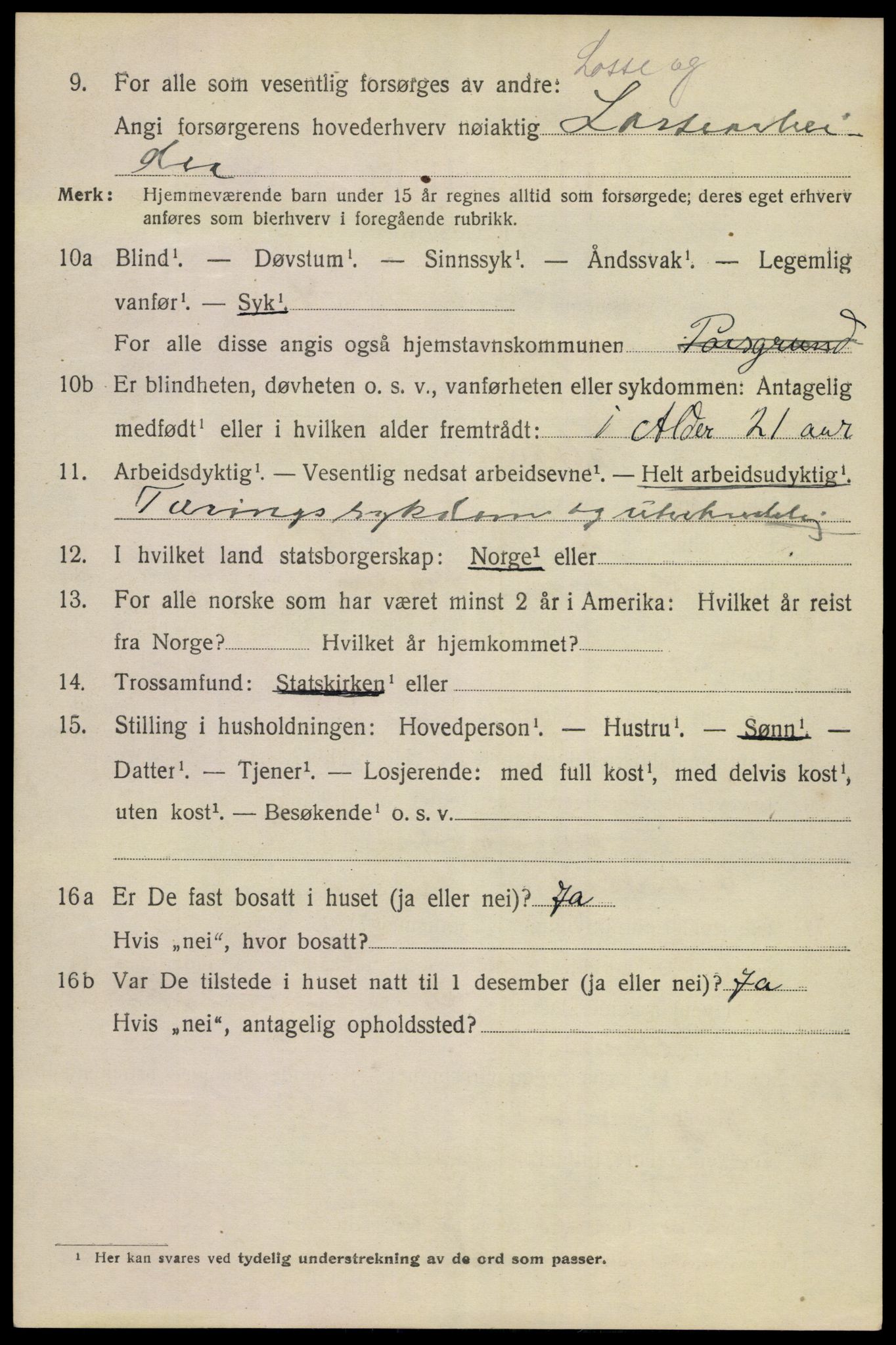 SAKO, 1920 census for Porsgrunn, 1920, p. 7254