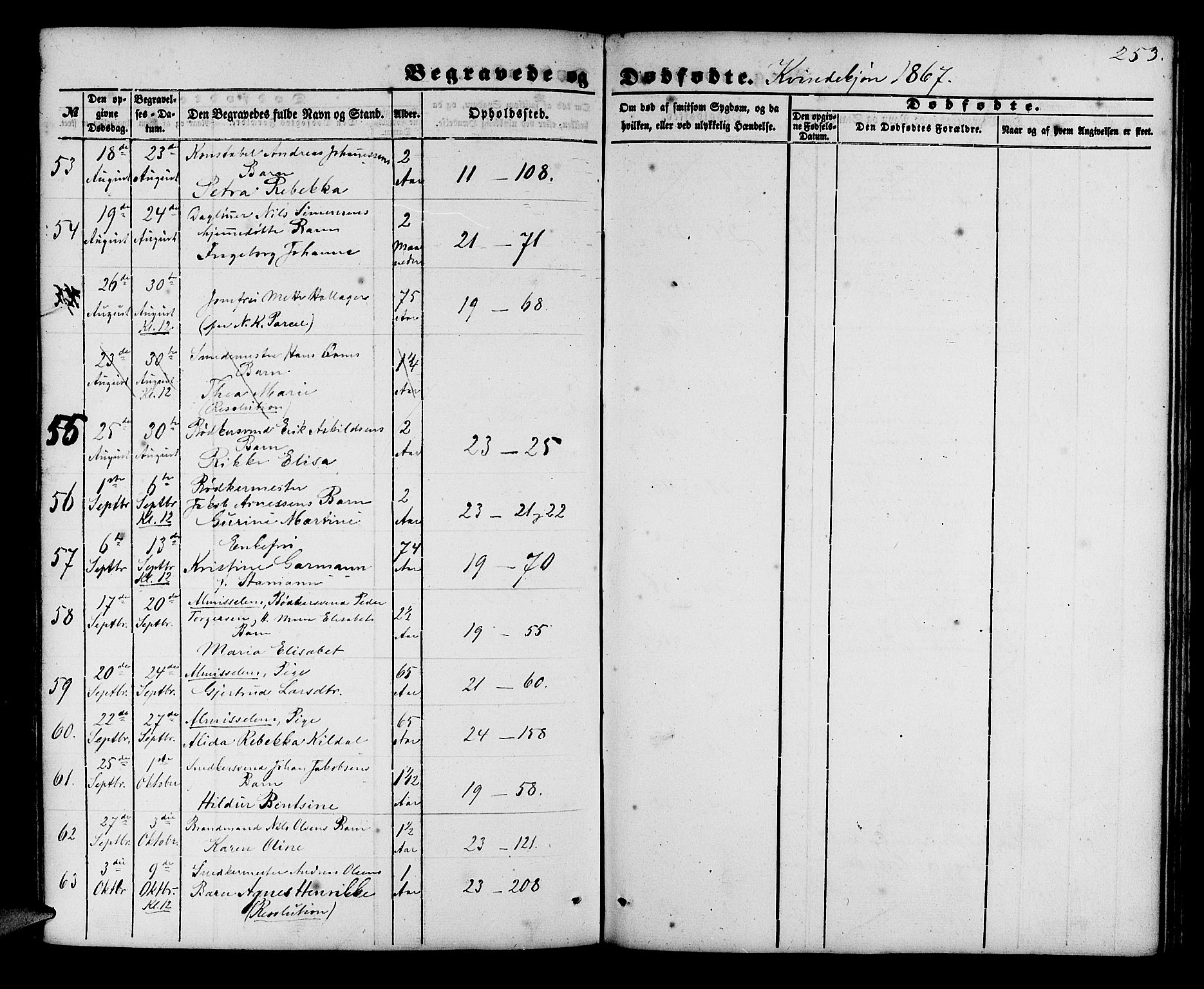 Korskirken sokneprestembete, AV/SAB-A-76101/H/Hab: Parish register (copy) no. E 2, 1851-1871, p. 253
