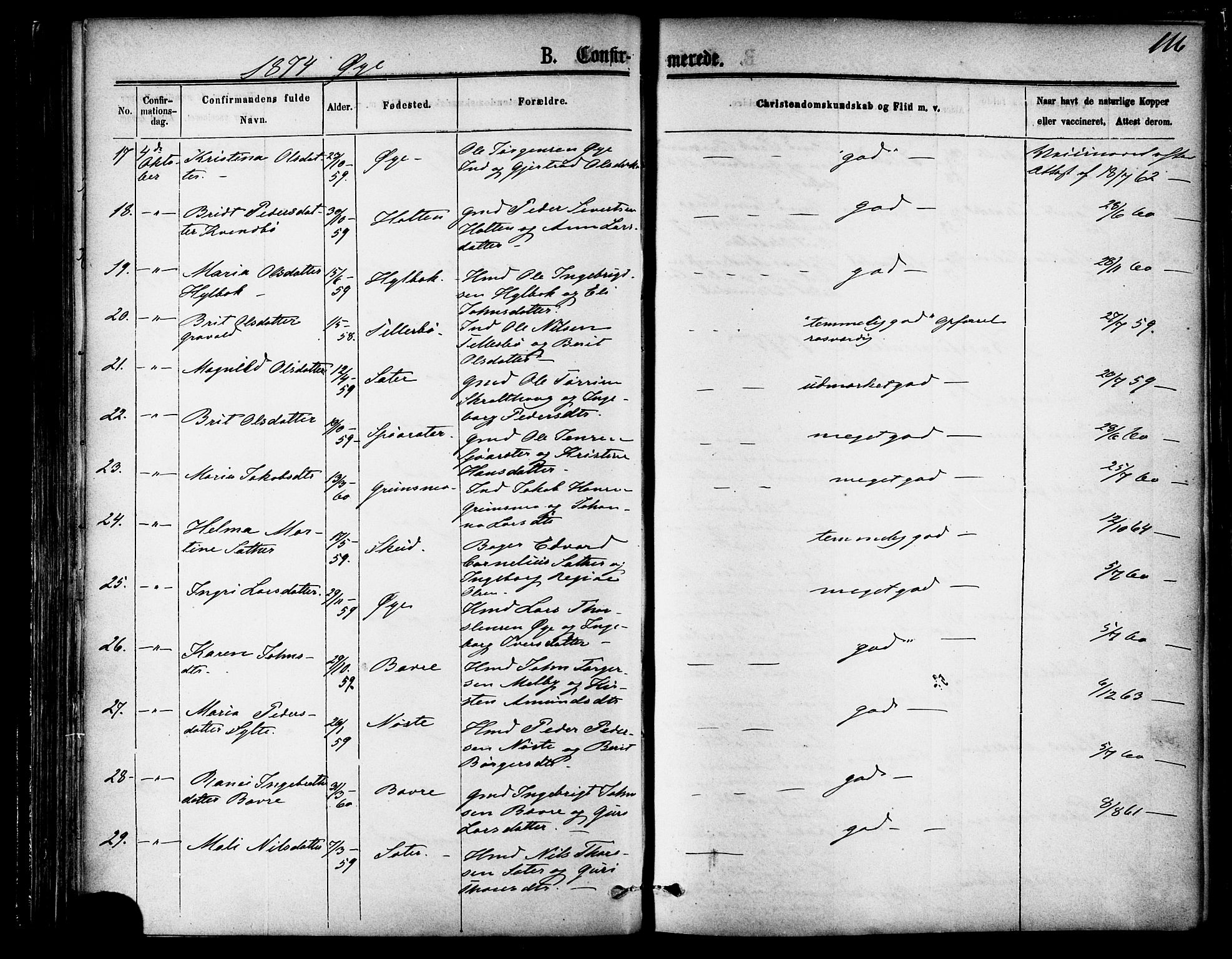 Ministerialprotokoller, klokkerbøker og fødselsregistre - Møre og Romsdal, AV/SAT-A-1454/595/L1046: Parish register (official) no. 595A08, 1874-1884, p. 116