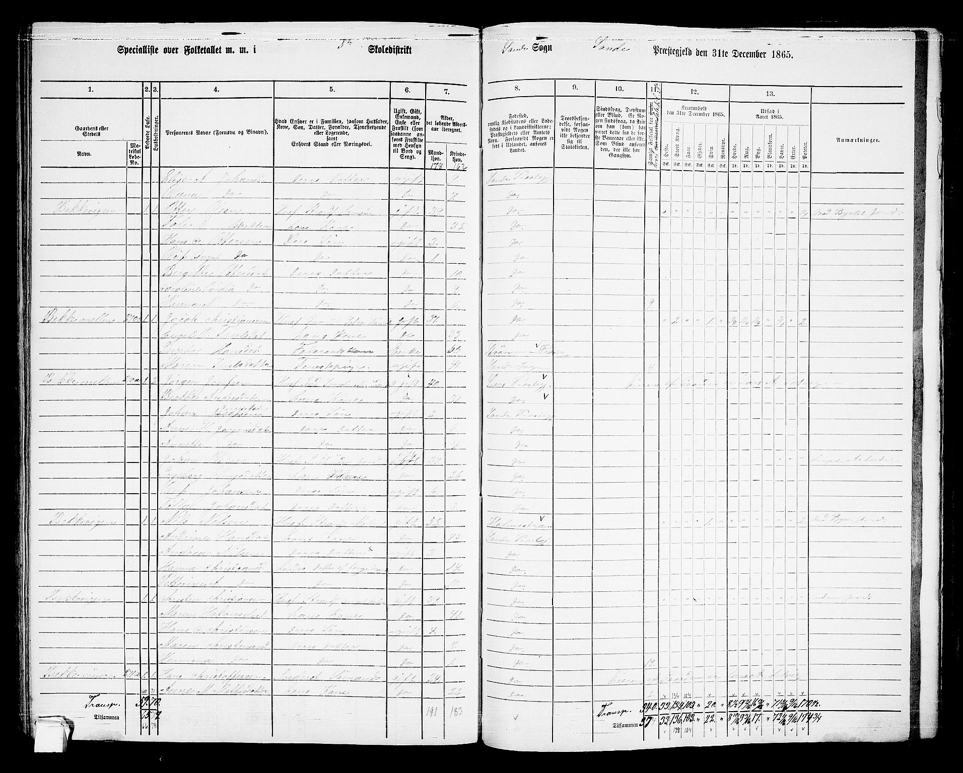 RA, 1865 census for Sande, 1865, p. 123