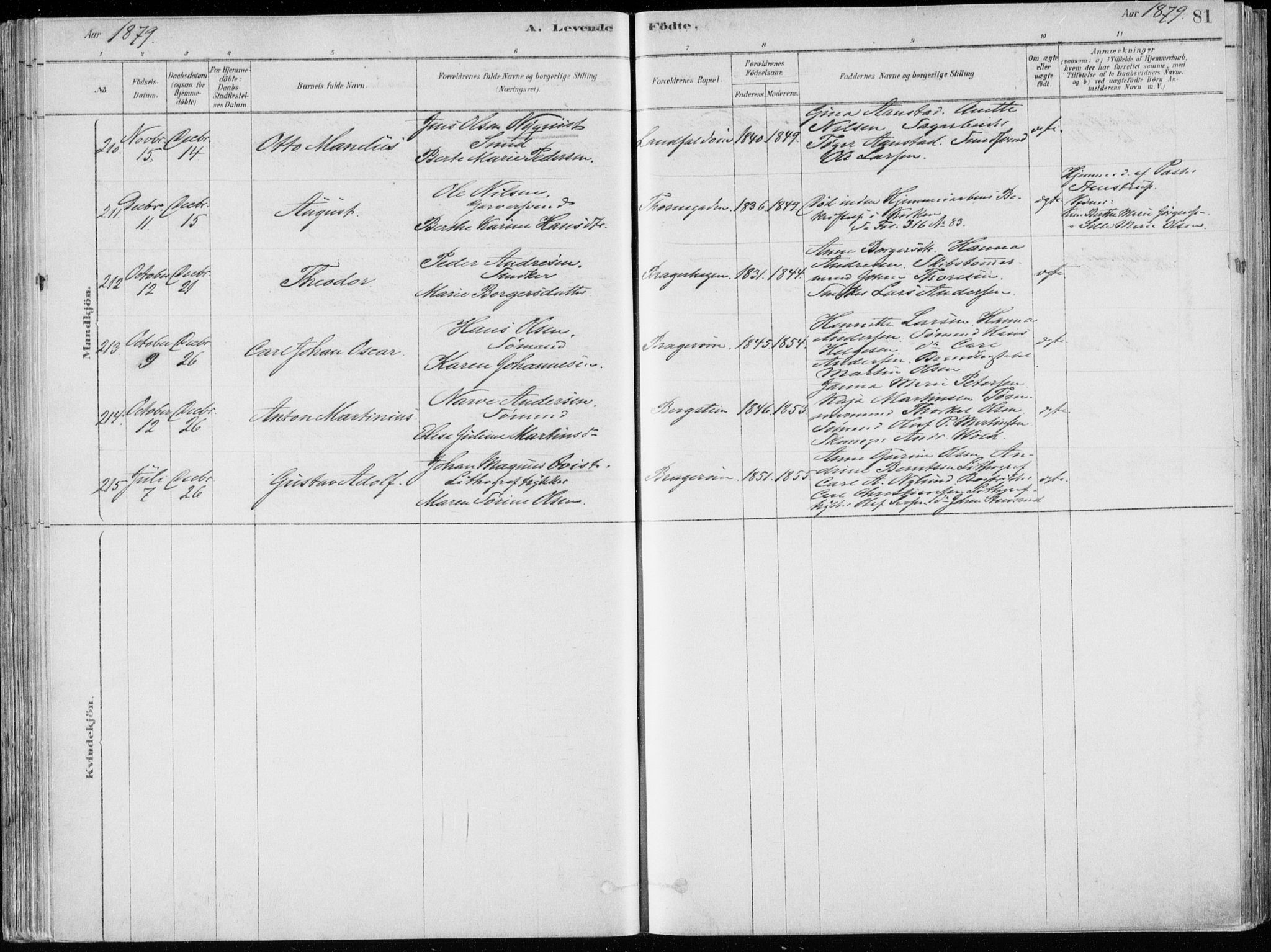 Bragernes kirkebøker, SAKO/A-6/F/Fb/L0006a: Parish register (official) no. II 6A, 1878-1885, p. 81