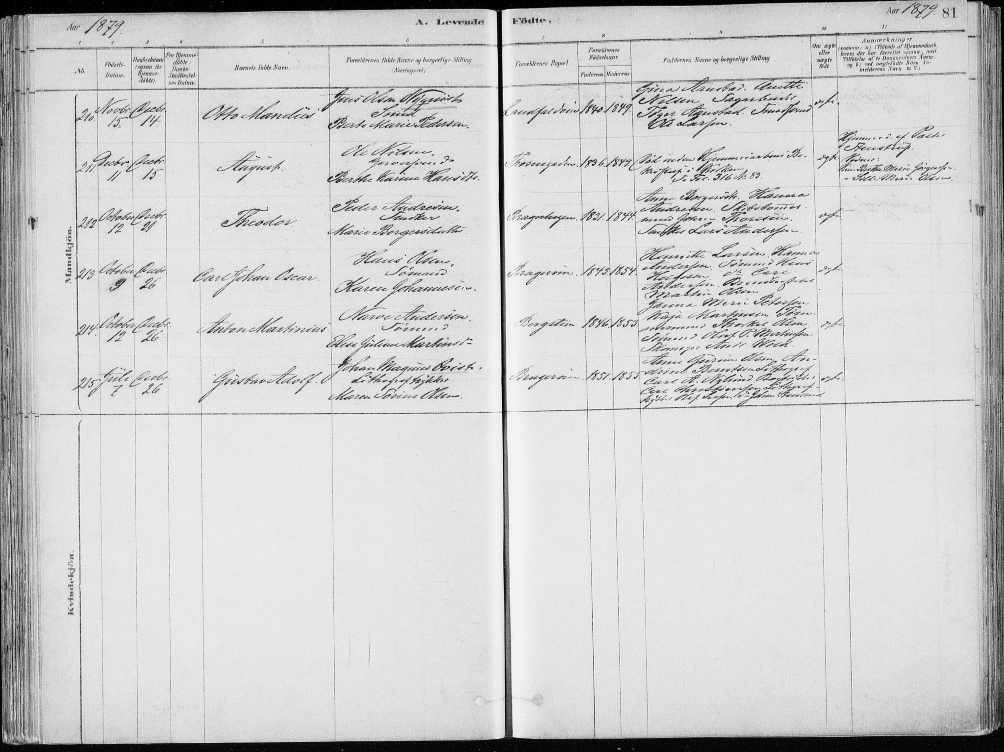 Bragernes kirkebøker, AV/SAKO-A-6/F/Fb/L0006a: Parish register (official) no. II 6A, 1878-1885, p. 81