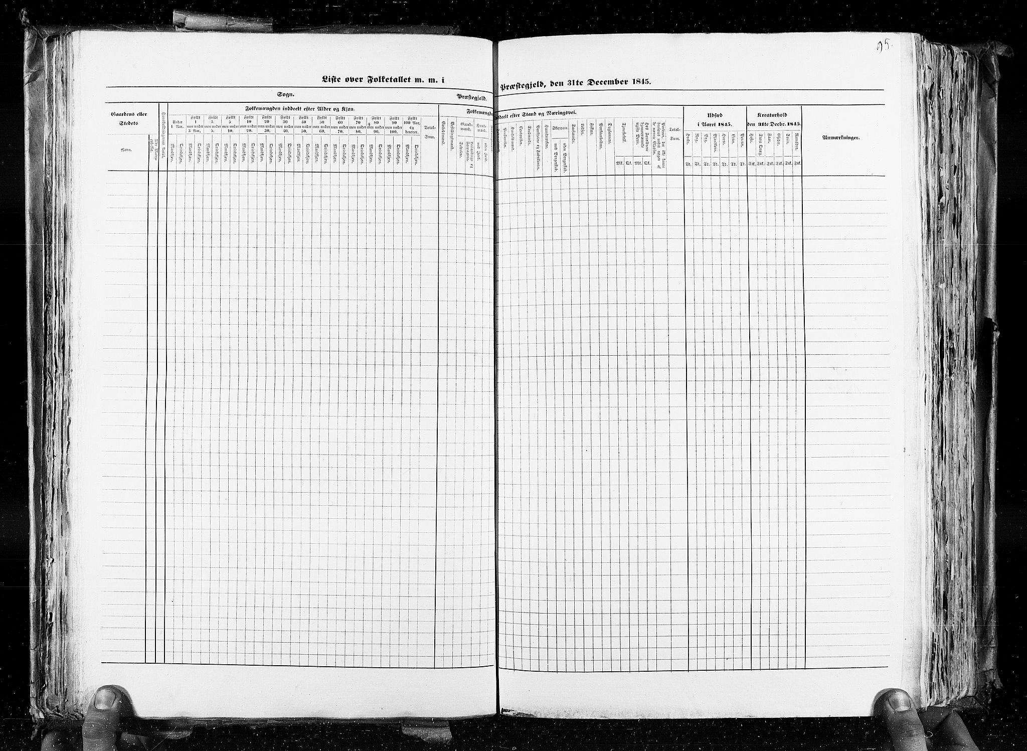 RA, Census 1845, vol. 4: Buskerud amt og Jarlsberg og Larvik amt, 1845, p. 95