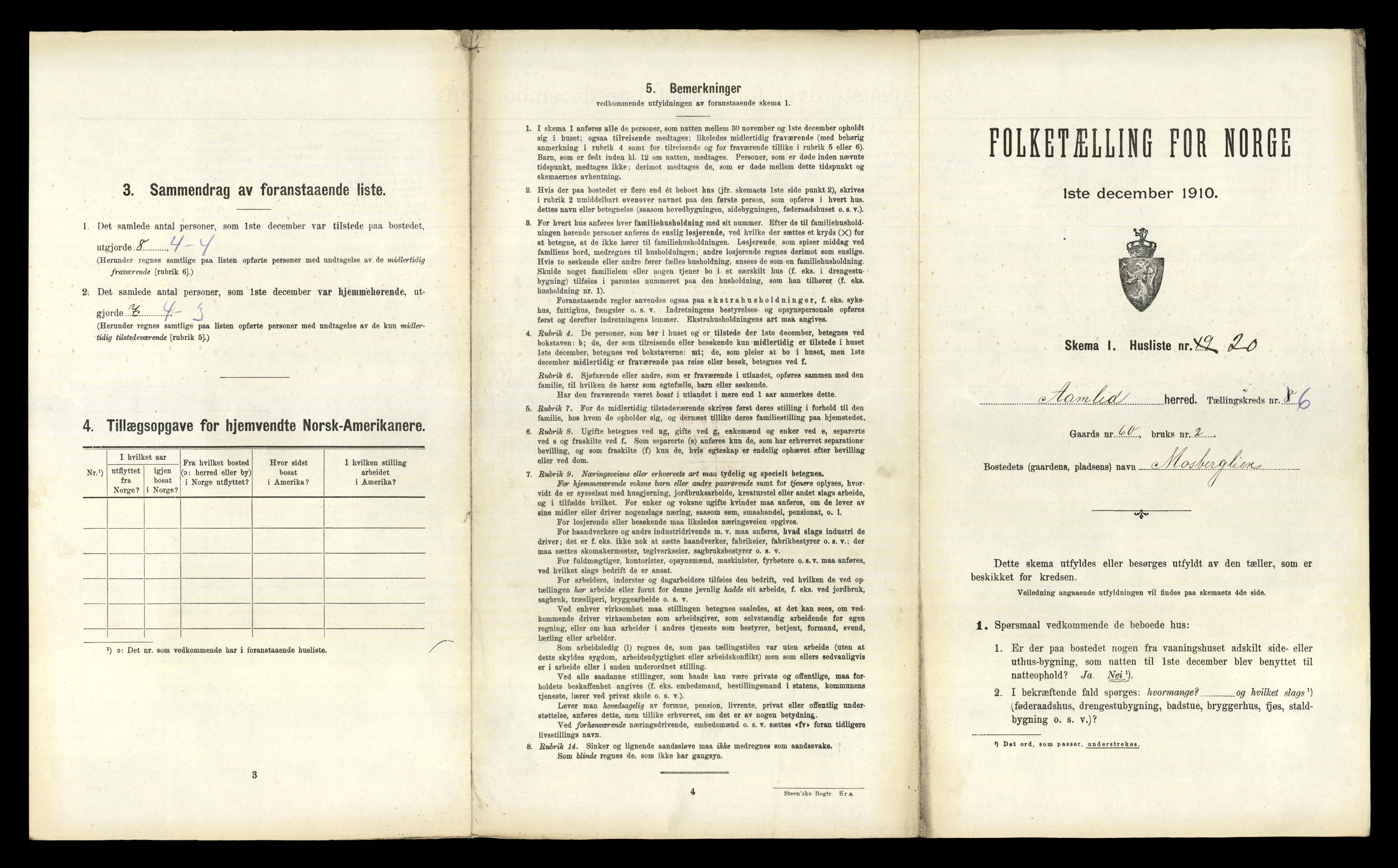 RA, 1910 census for Åmli, 1910, p. 385