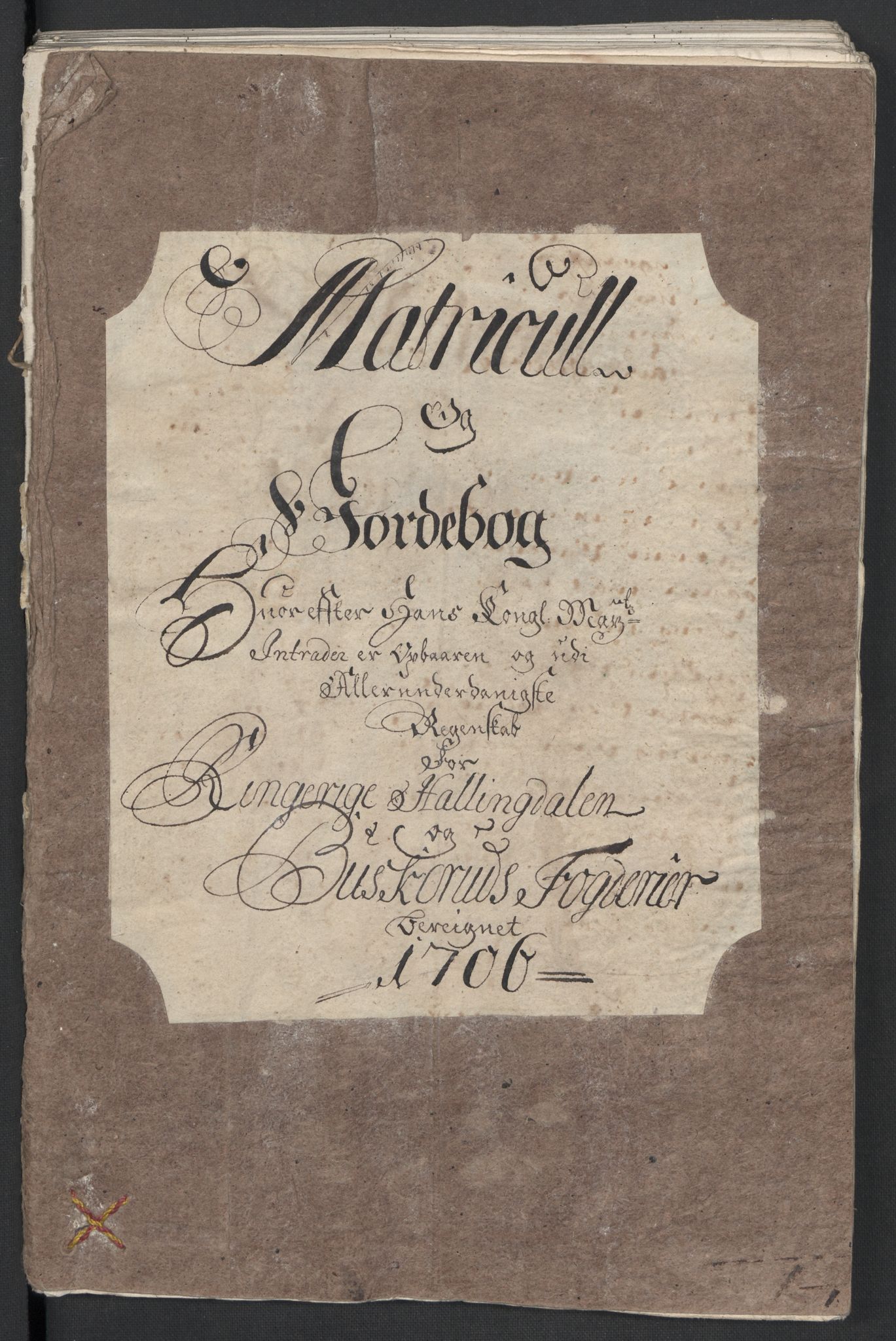 Rentekammeret inntil 1814, Reviderte regnskaper, Fogderegnskap, RA/EA-4092/R22/L1465: Fogderegnskap Ringerike, Hallingdal og Buskerud, 1706, p. 29