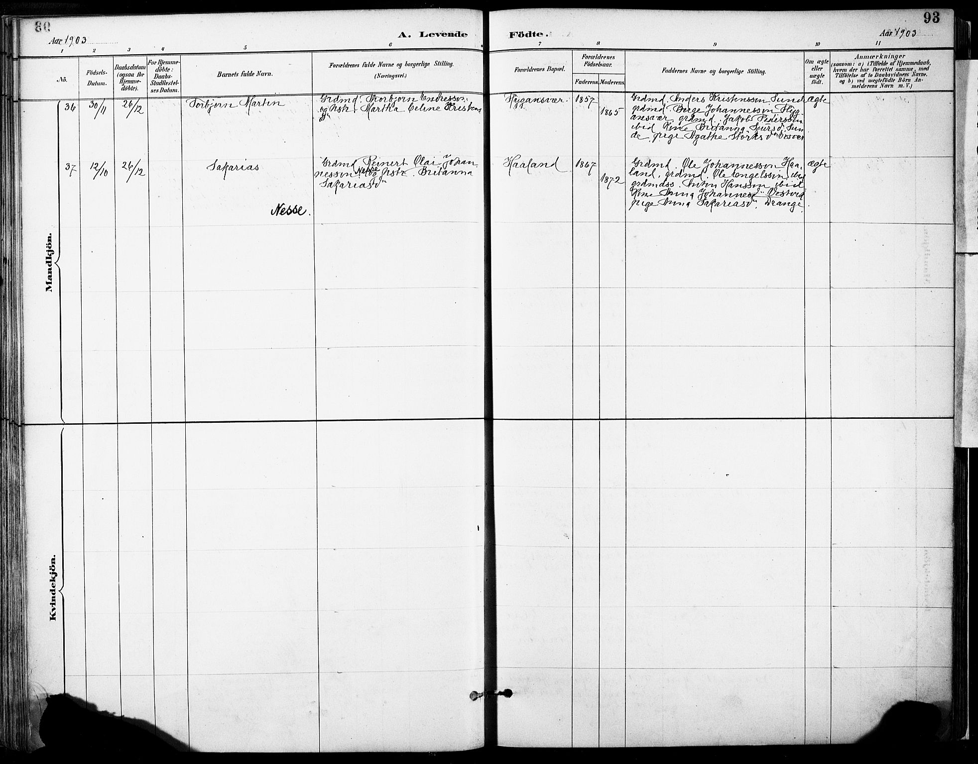 Tysnes sokneprestembete, AV/SAB-A-78601/H/Haa: Parish register (official) no. D 1, 1887-1904, p. 93