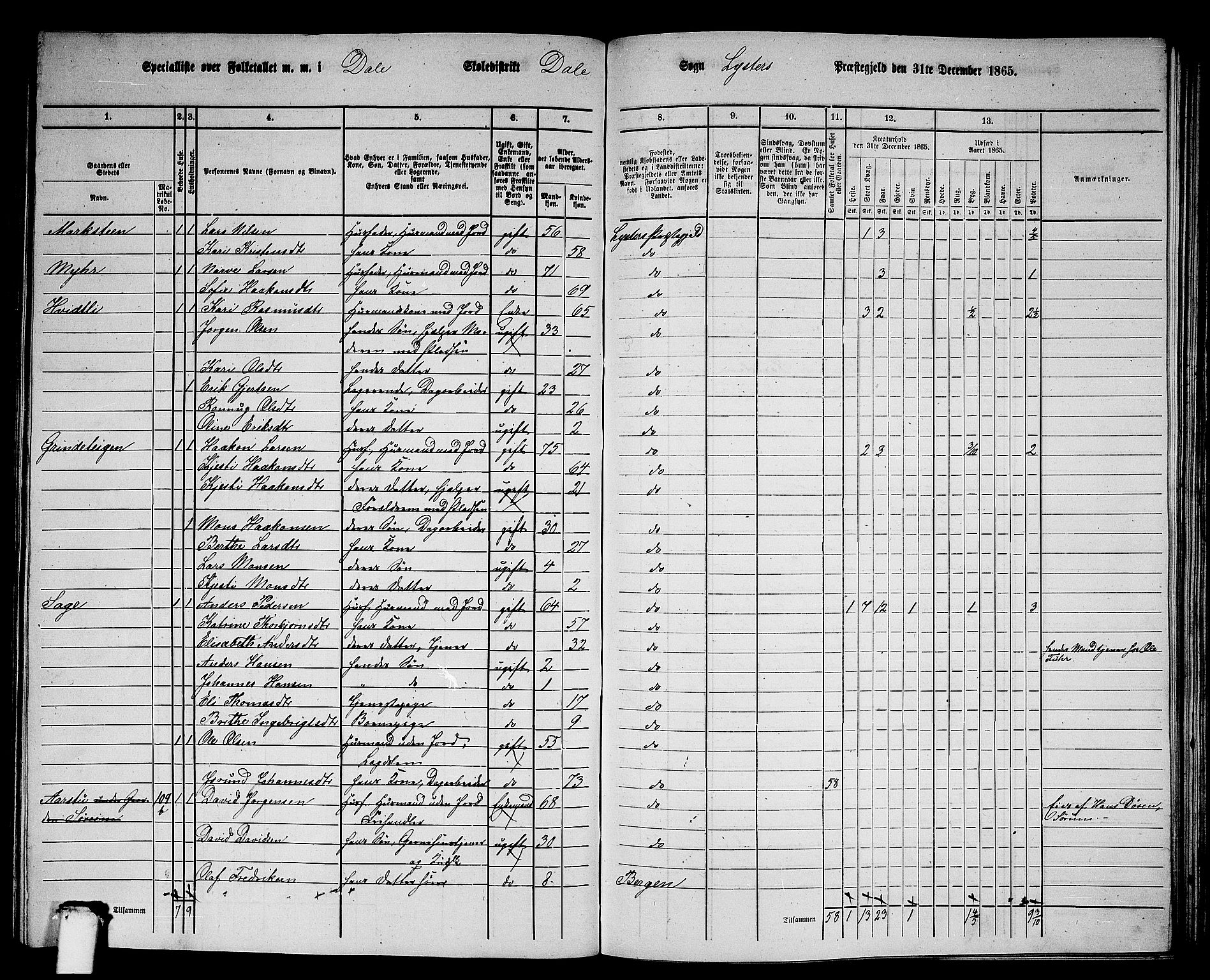 RA, 1865 census for Luster, 1865, p. 104