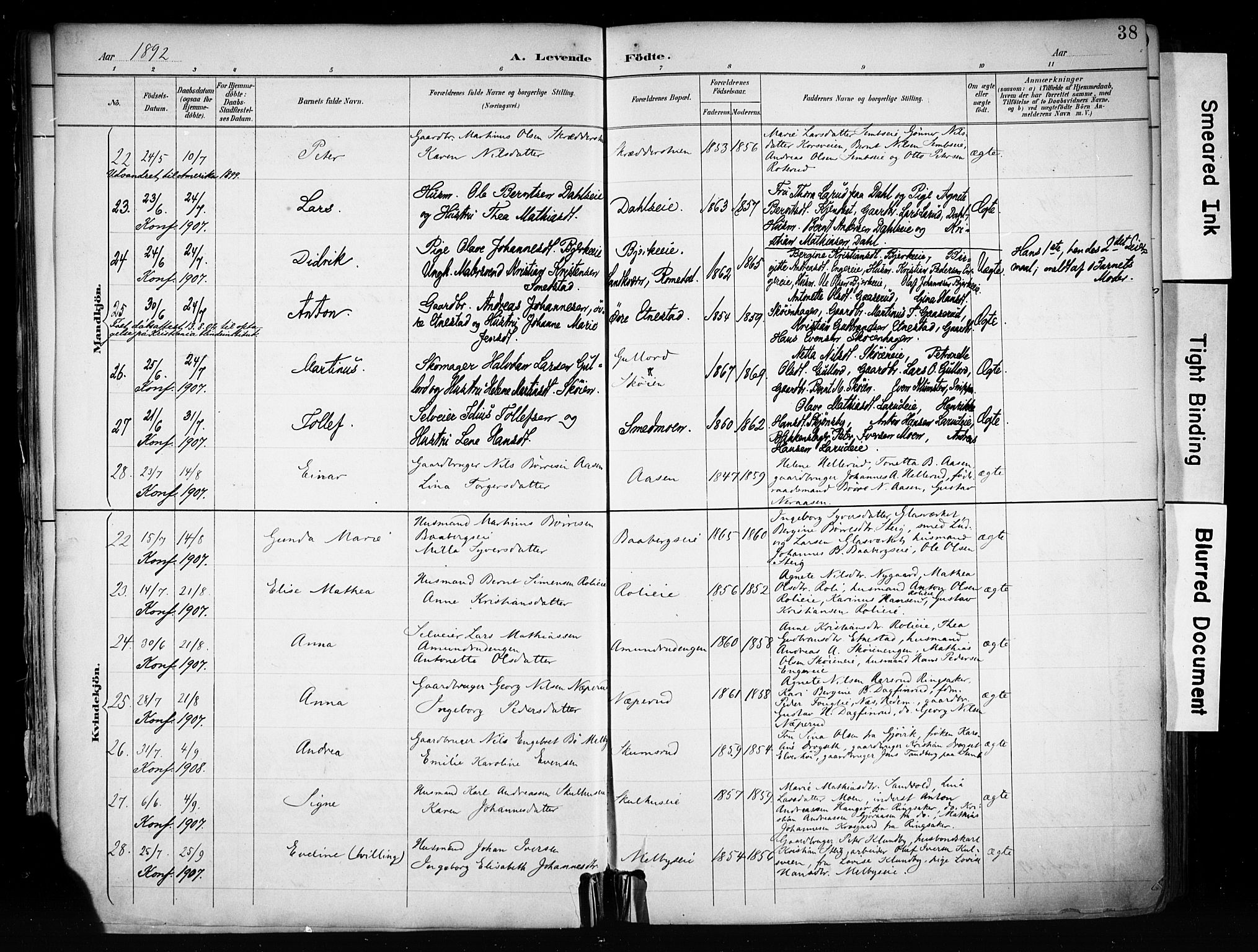 Biri prestekontor, AV/SAH-PREST-096/H/Ha/Haa/L0009: Parish register (official) no. 9, 1887-1900, p. 38