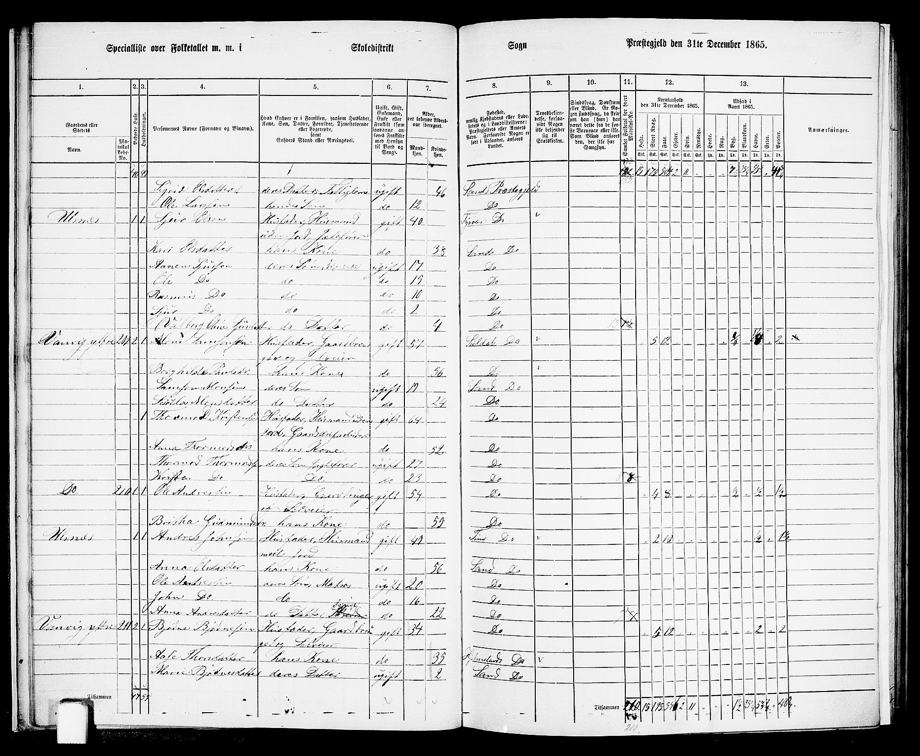 RA, 1865 census for Sand, 1865, p. 18