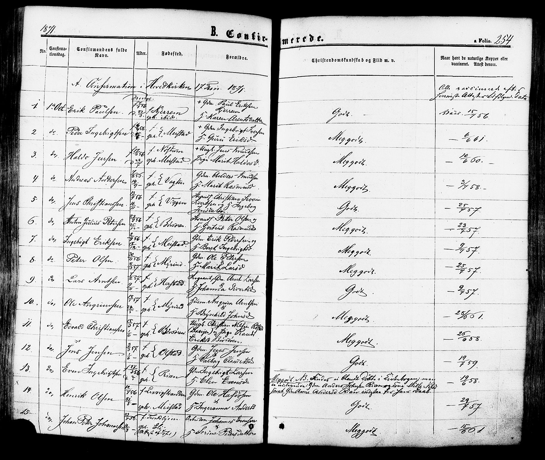 Ministerialprotokoller, klokkerbøker og fødselsregistre - Sør-Trøndelag, AV/SAT-A-1456/665/L0772: Parish register (official) no. 665A07, 1856-1878, p. 254