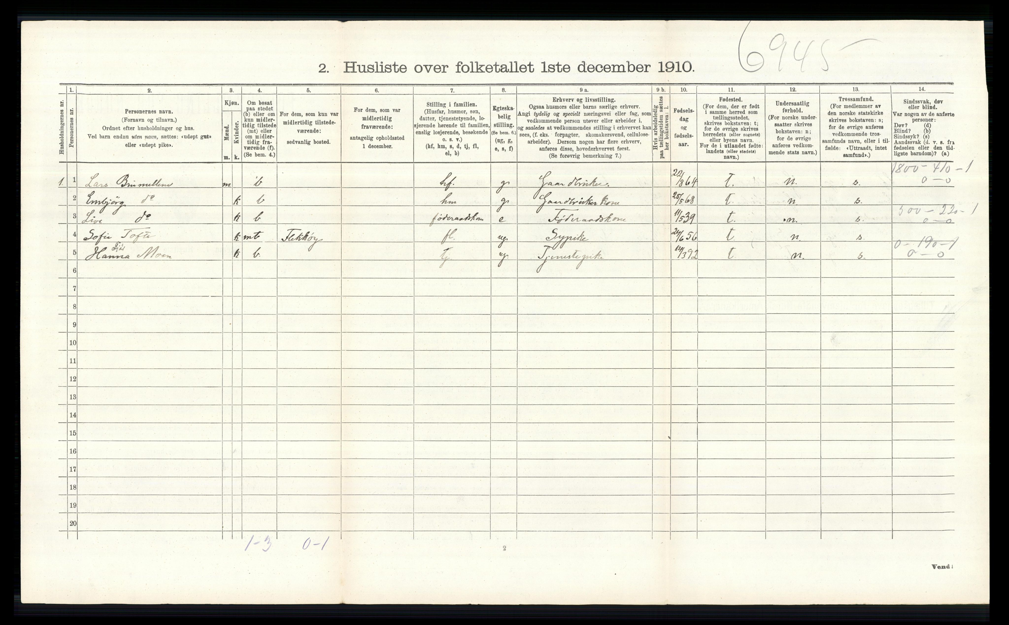 RA, 1910 census for Skjåk, 1910, p. 695