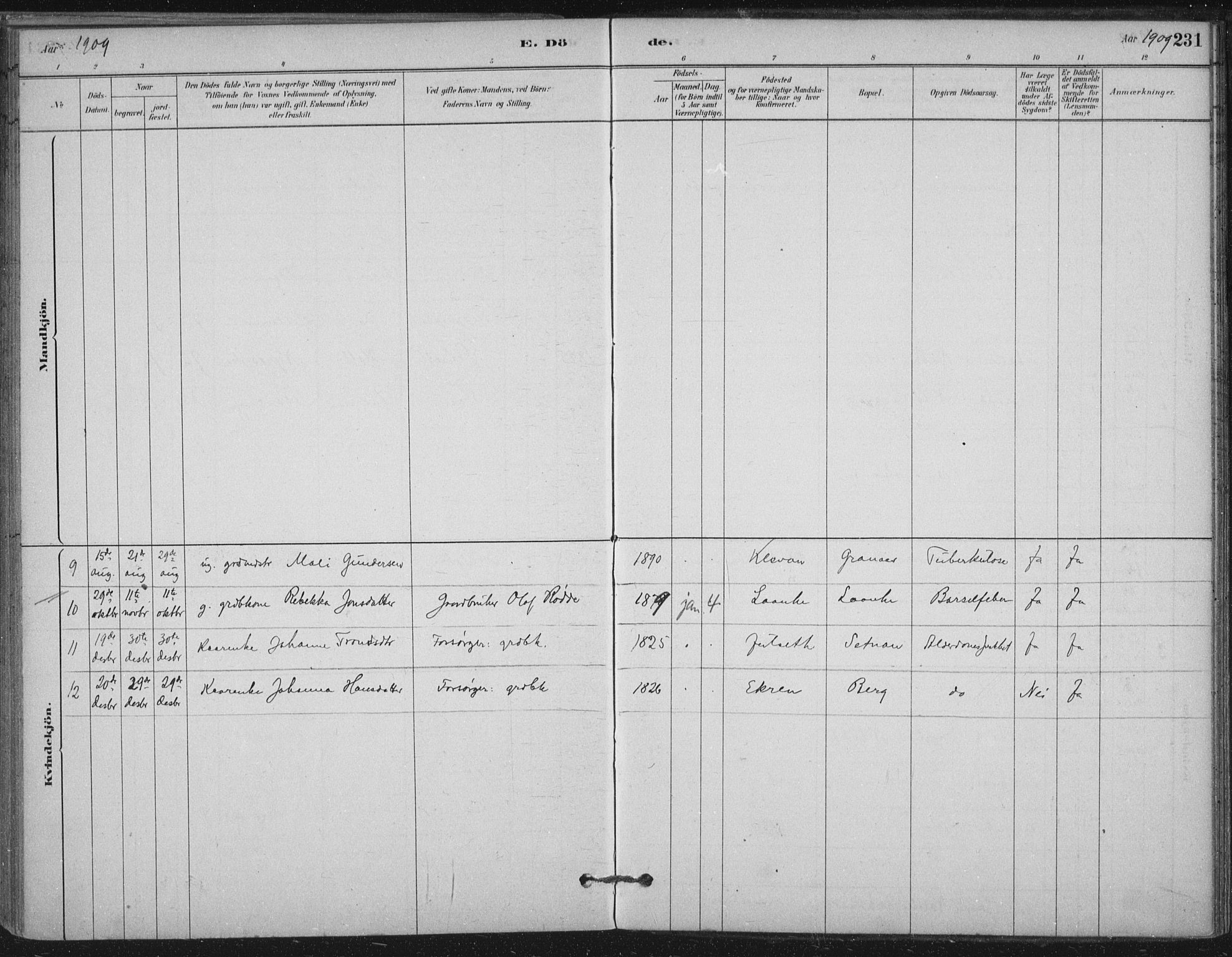 Ministerialprotokoller, klokkerbøker og fødselsregistre - Nord-Trøndelag, SAT/A-1458/710/L0095: Parish register (official) no. 710A01, 1880-1914, p. 231