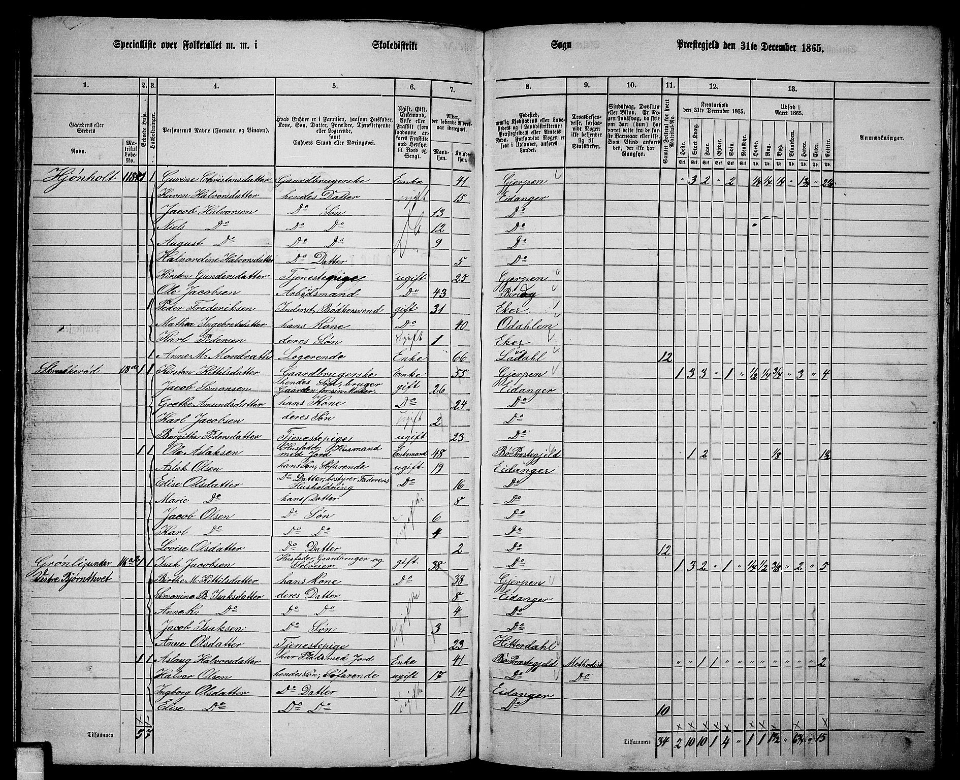 RA, 1865 census for Eidanger, 1865, p. 66