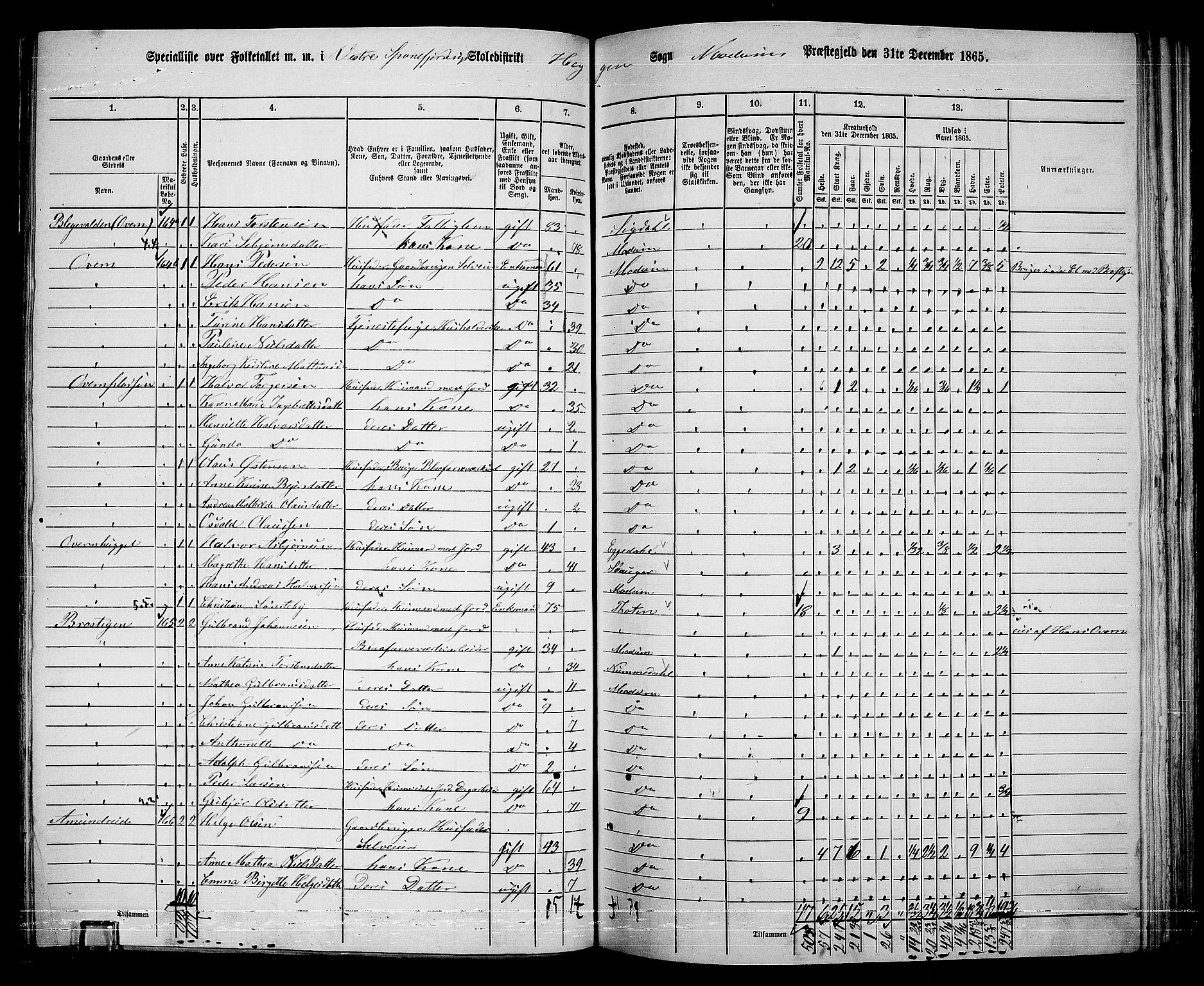 RA, 1865 census for Modum, 1865, p. 204