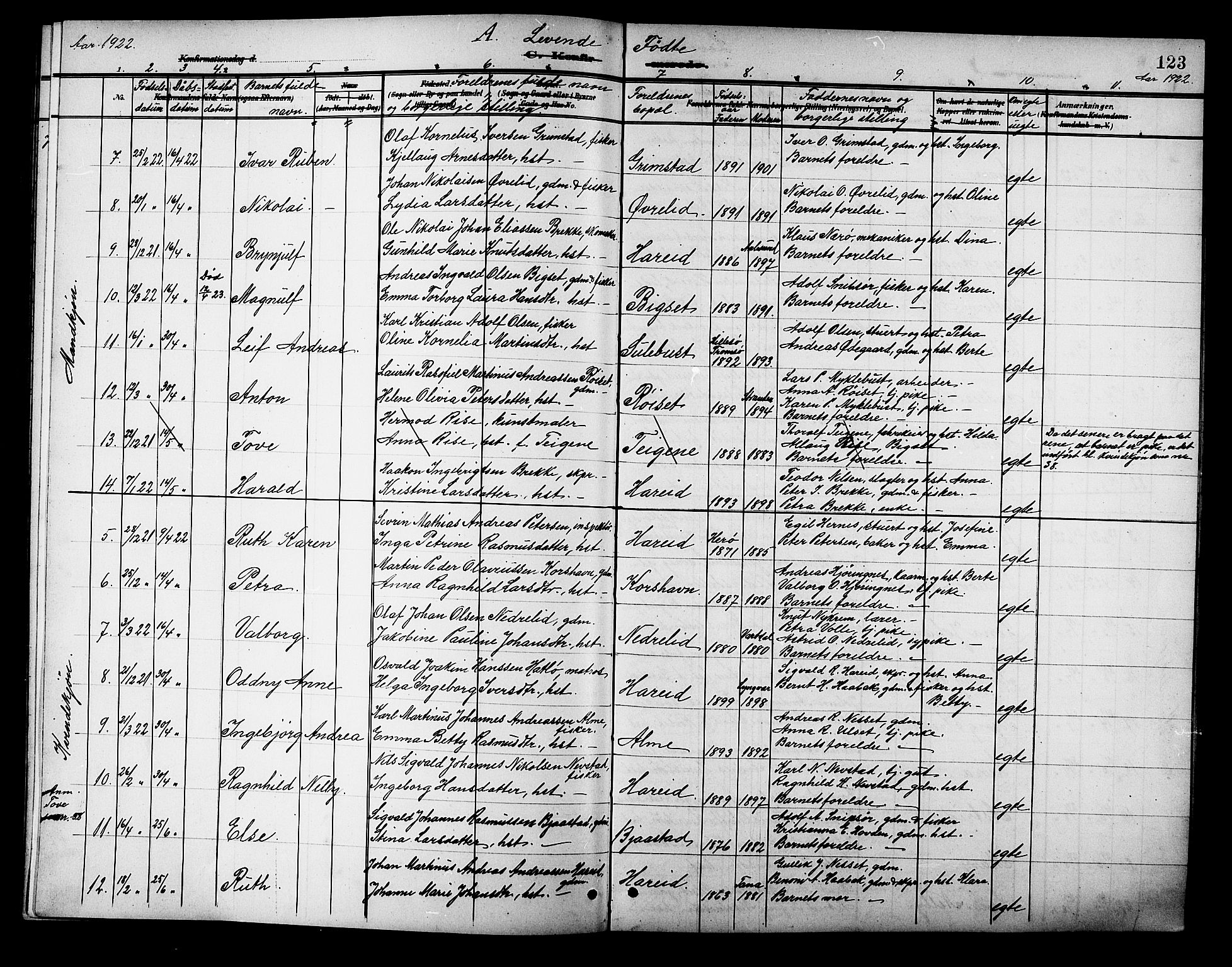 Ministerialprotokoller, klokkerbøker og fødselsregistre - Møre og Romsdal, SAT/A-1454/510/L0126: Parish register (copy) no. 510C03, 1900-1922, p. 123