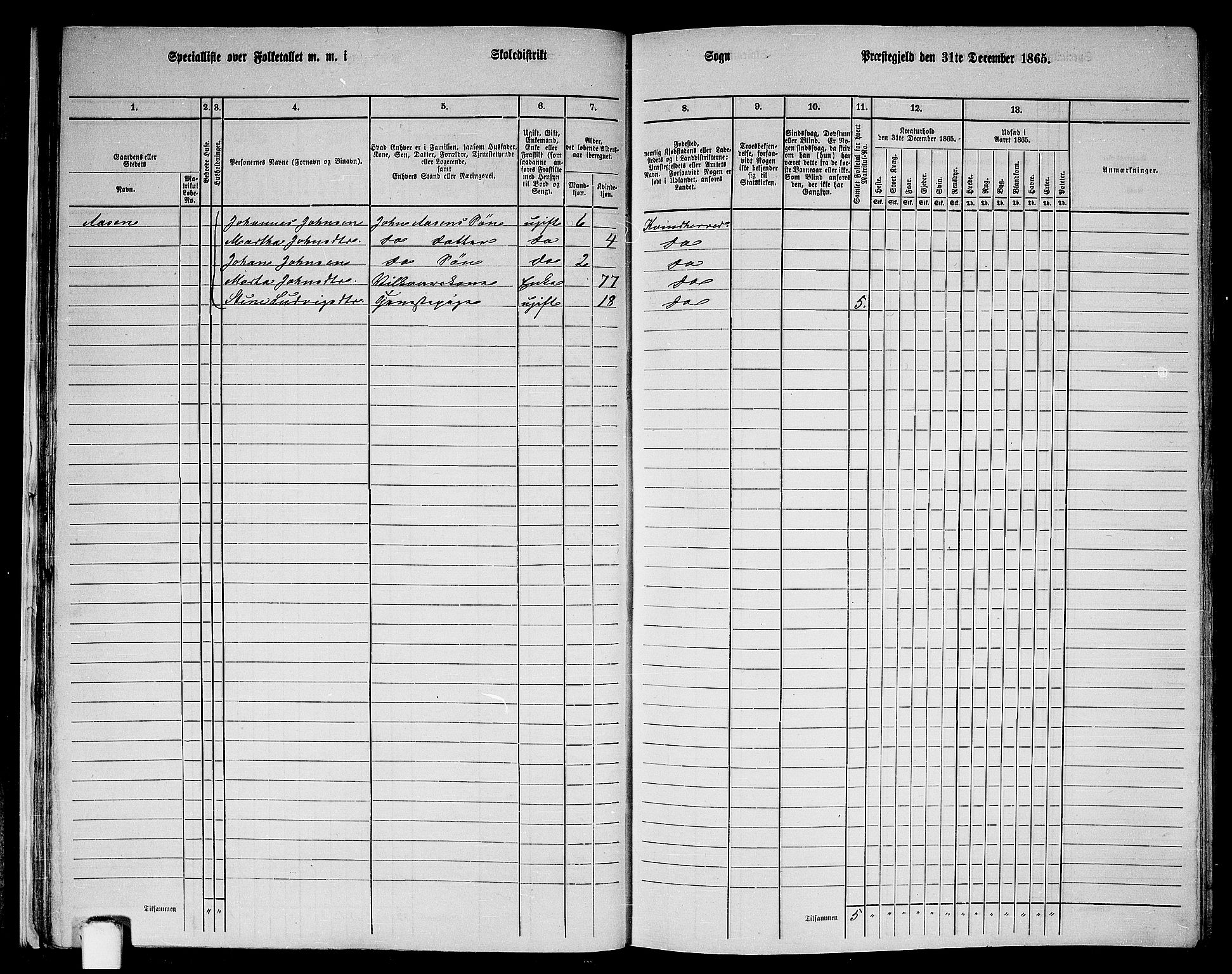 RA, 1865 census for Kvinnherad, 1865, p. 31